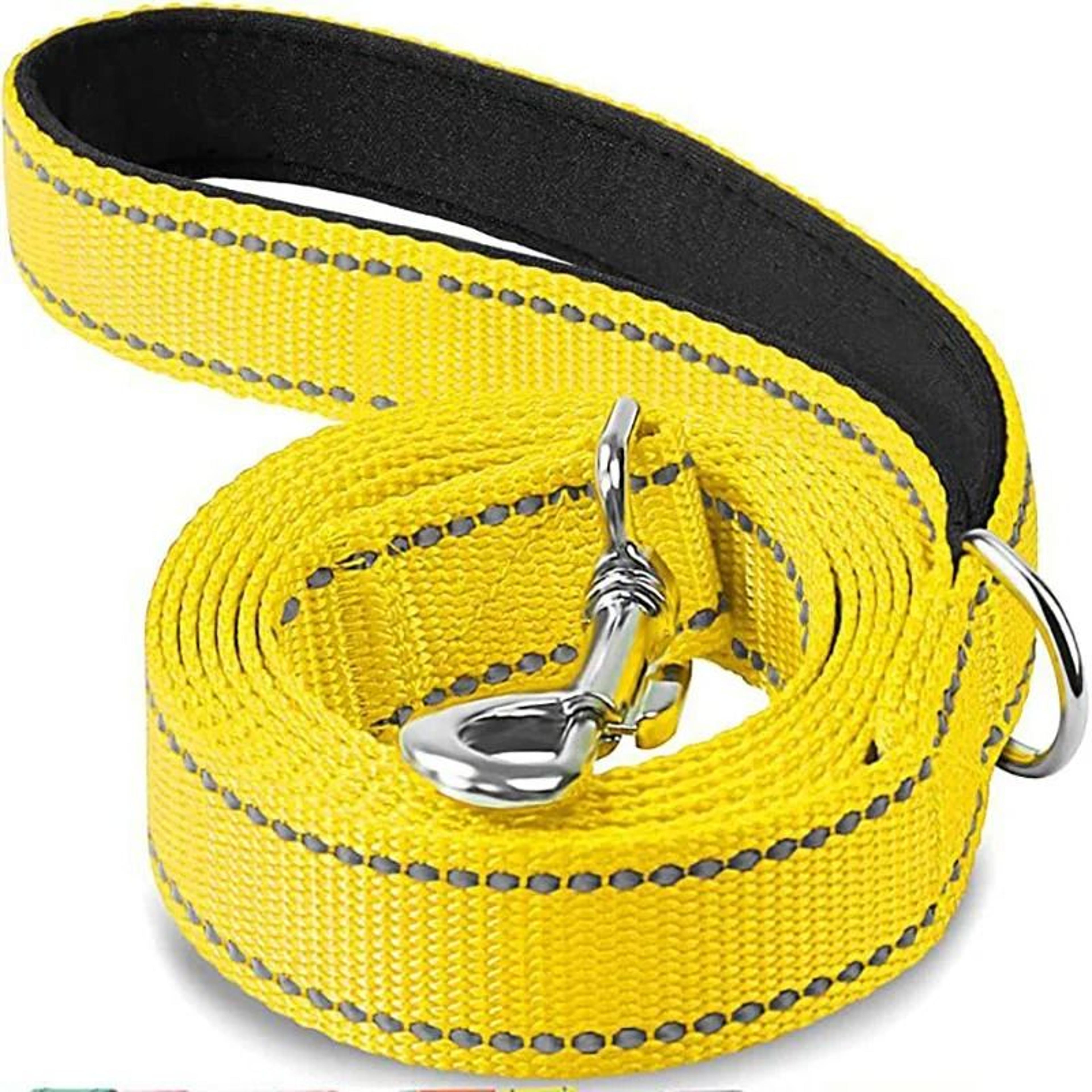 Reflective MultiLength Training  Walking Leash 12