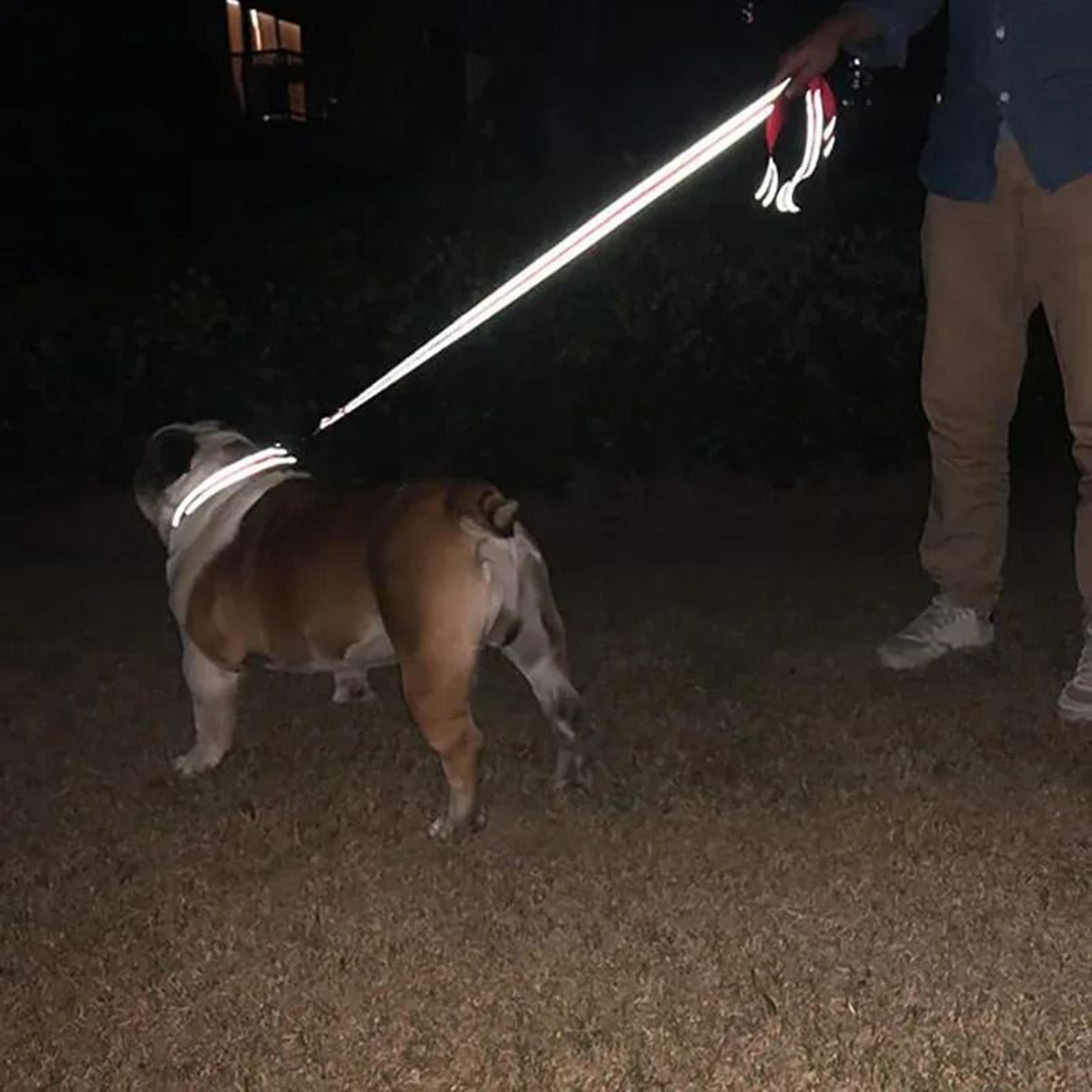 Reflective MultiLength Training  Walking Leash 1