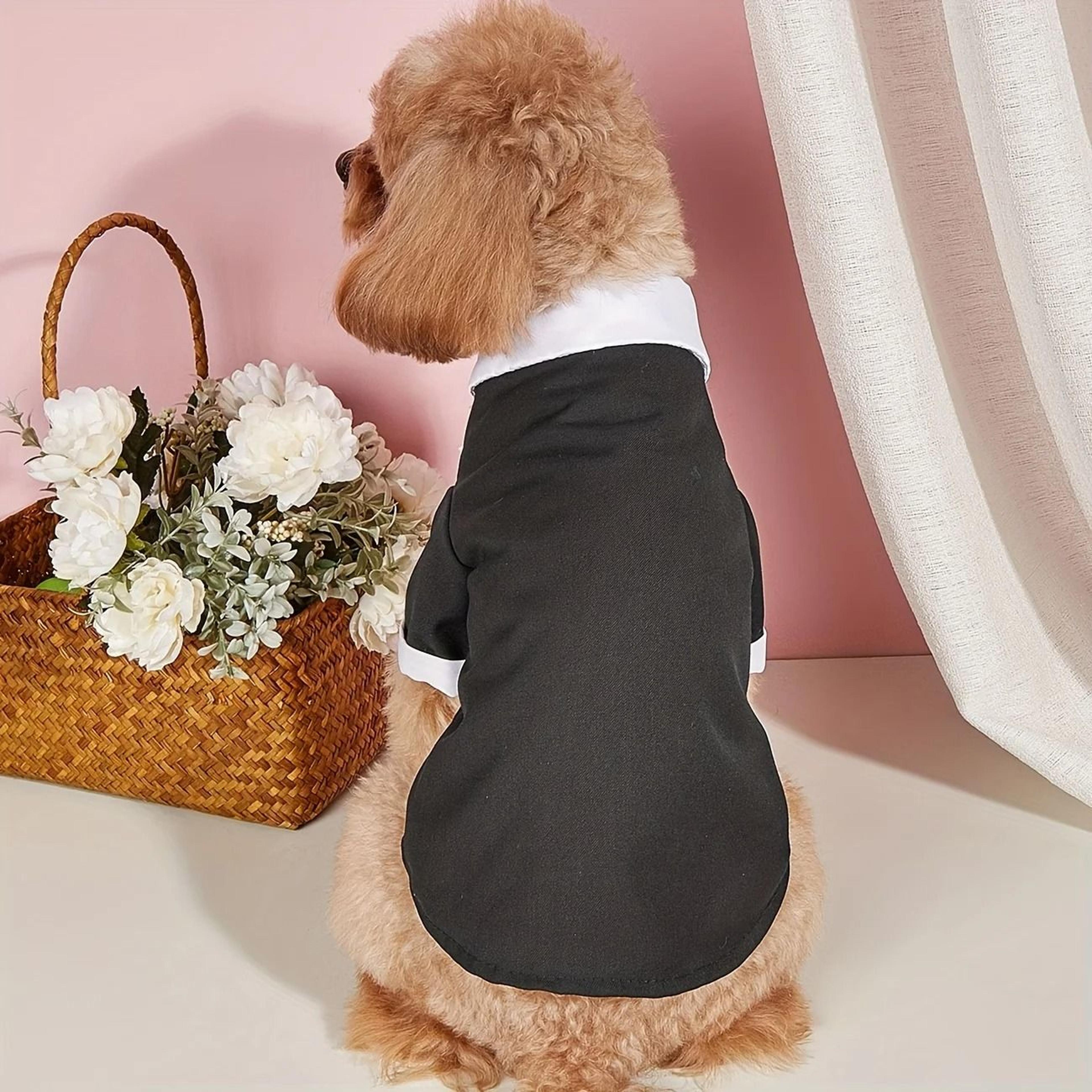 Formal Pet Wedding Suit With Bow Tie 2