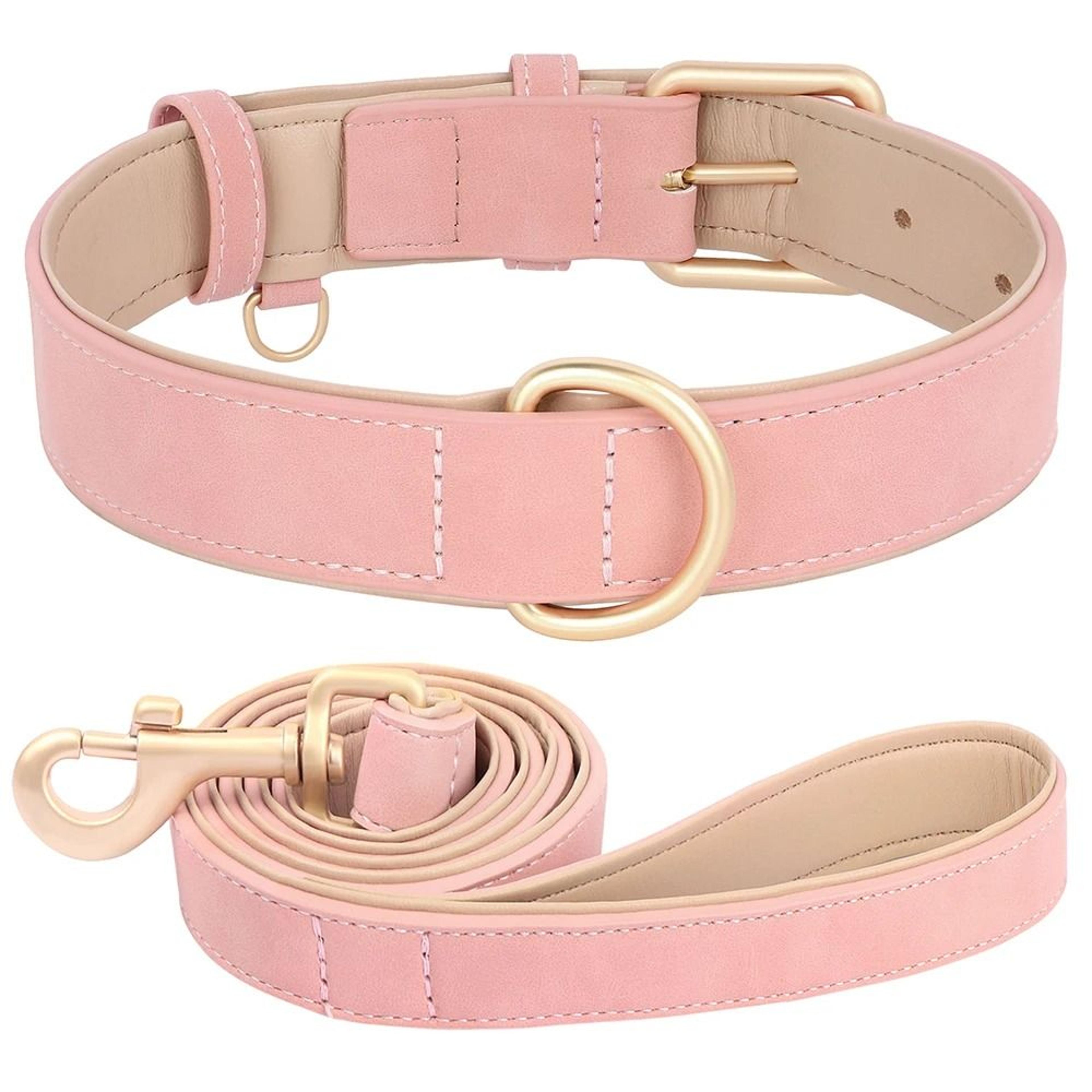 Soft Padded PU Leather Collar  Leash Set 11