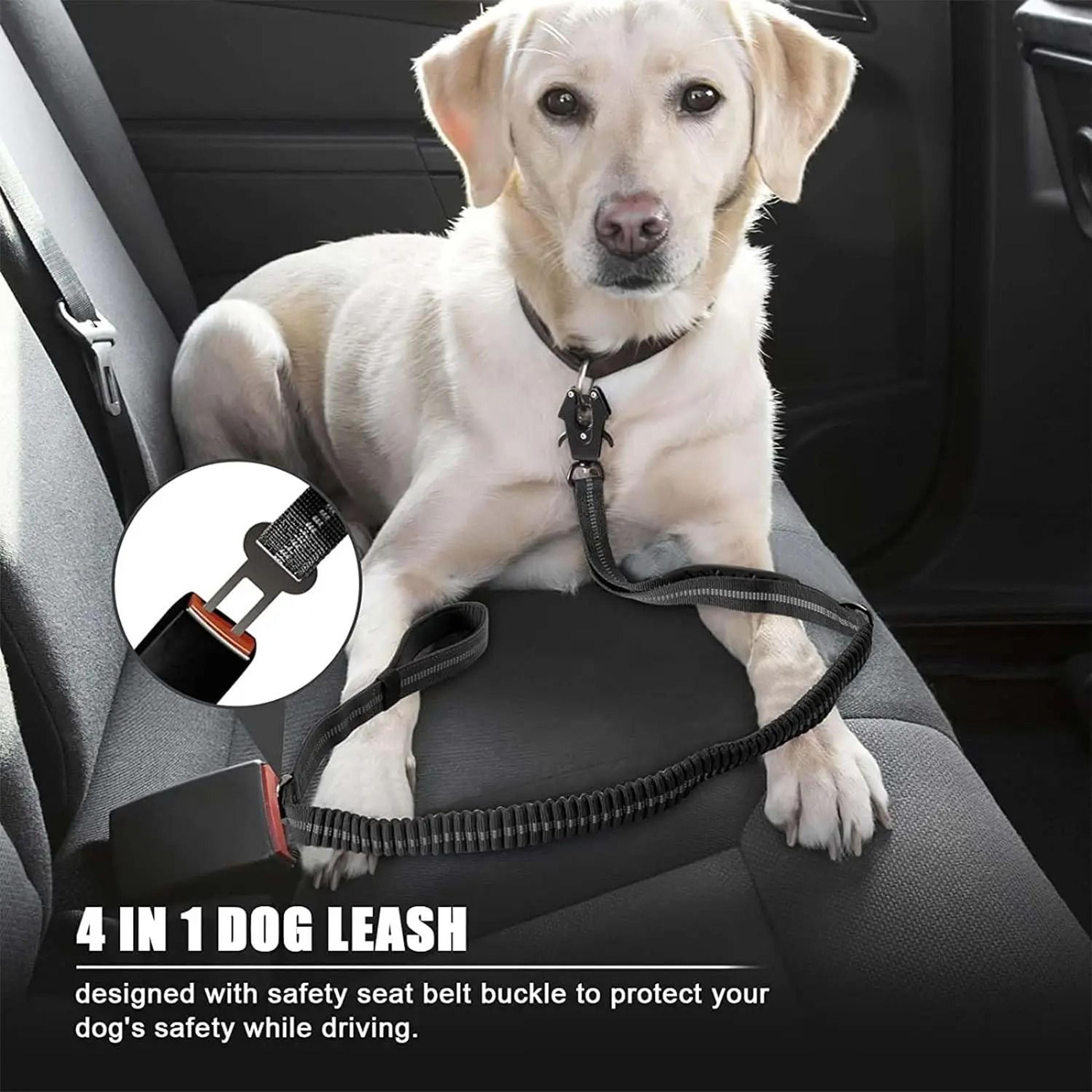Tactical Bungee ShockAbsorbing Leash With Integrated Car Safety Buckle 2