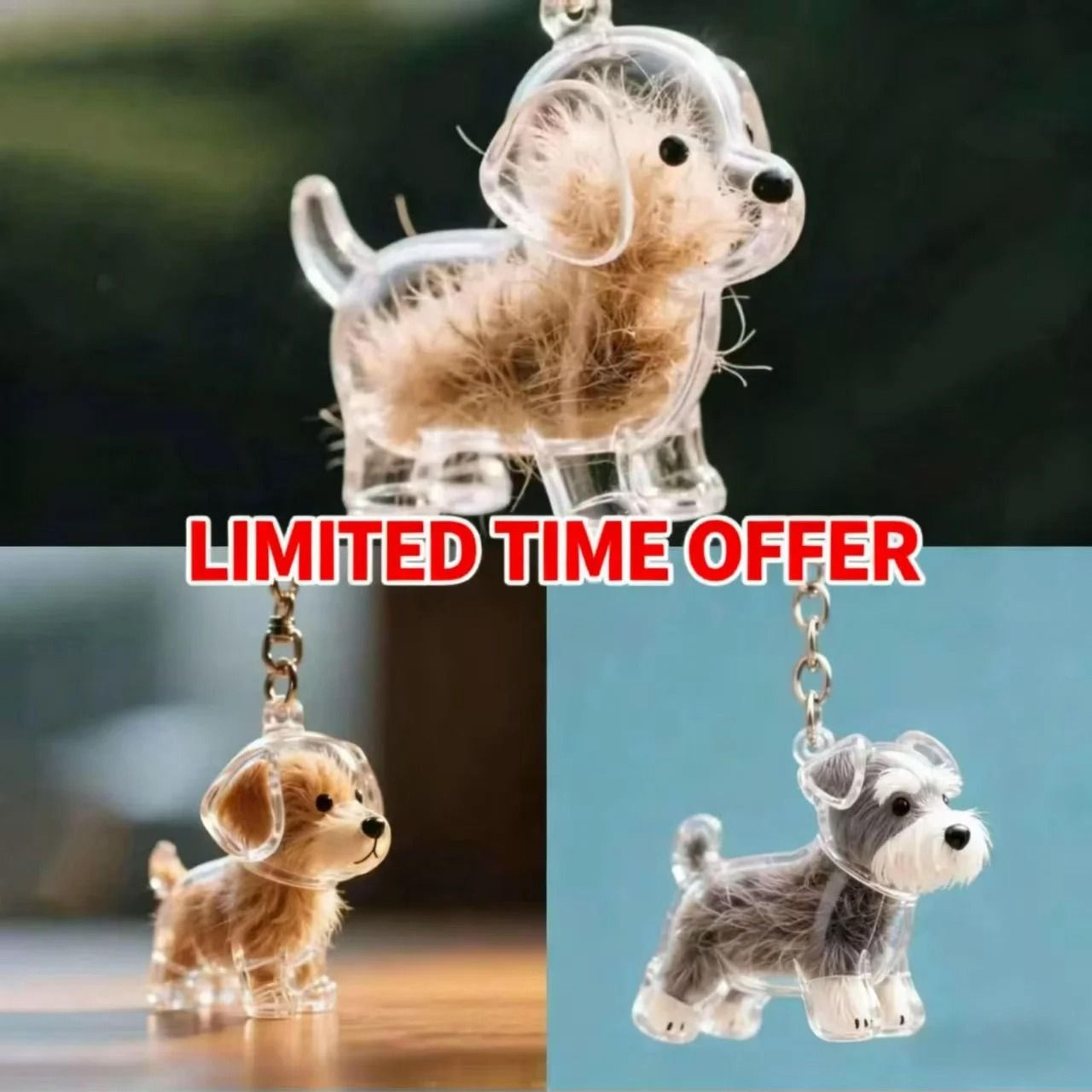pet keepsake hair storage keychain pendant