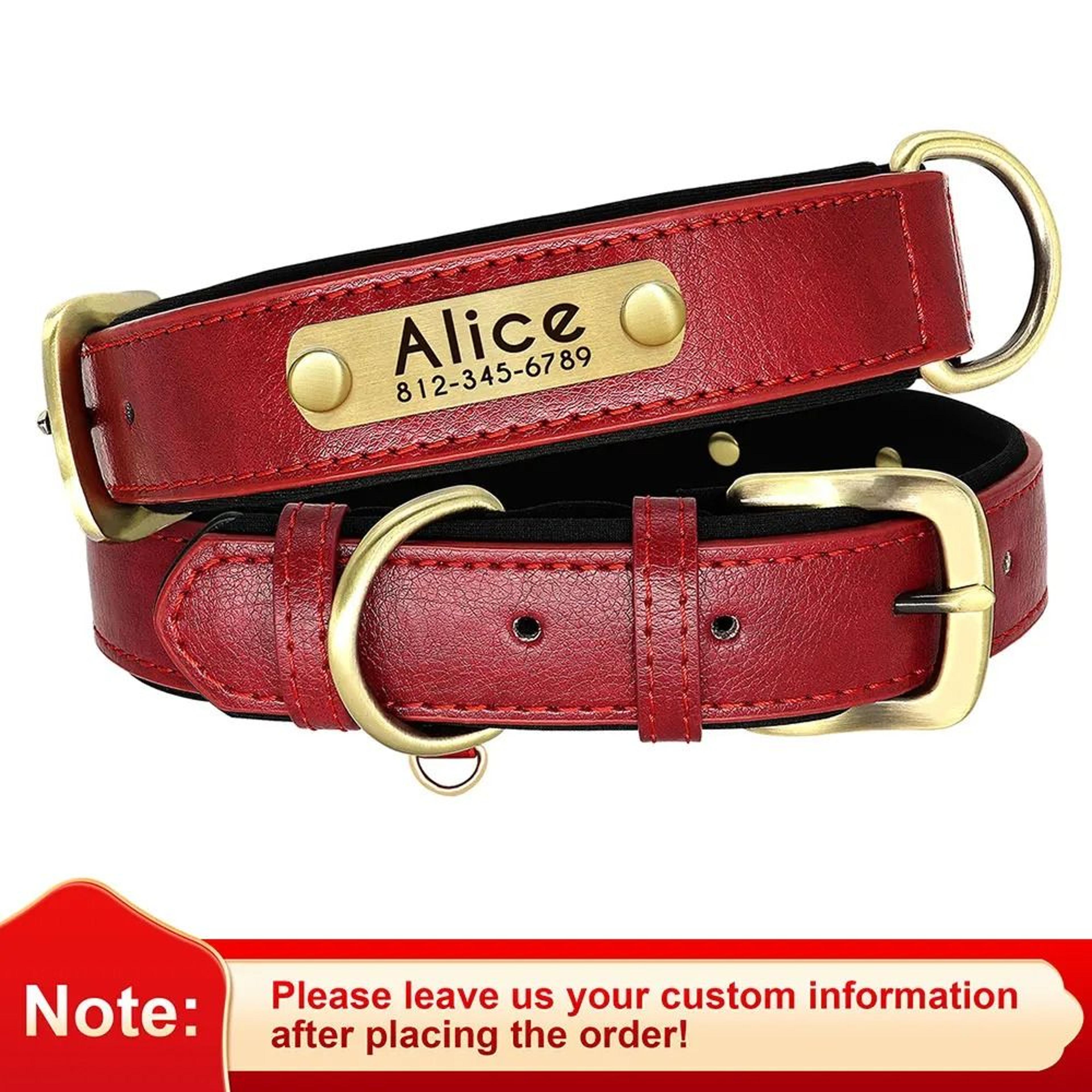 Customized Padded PU Leather Nameplate Collar 9