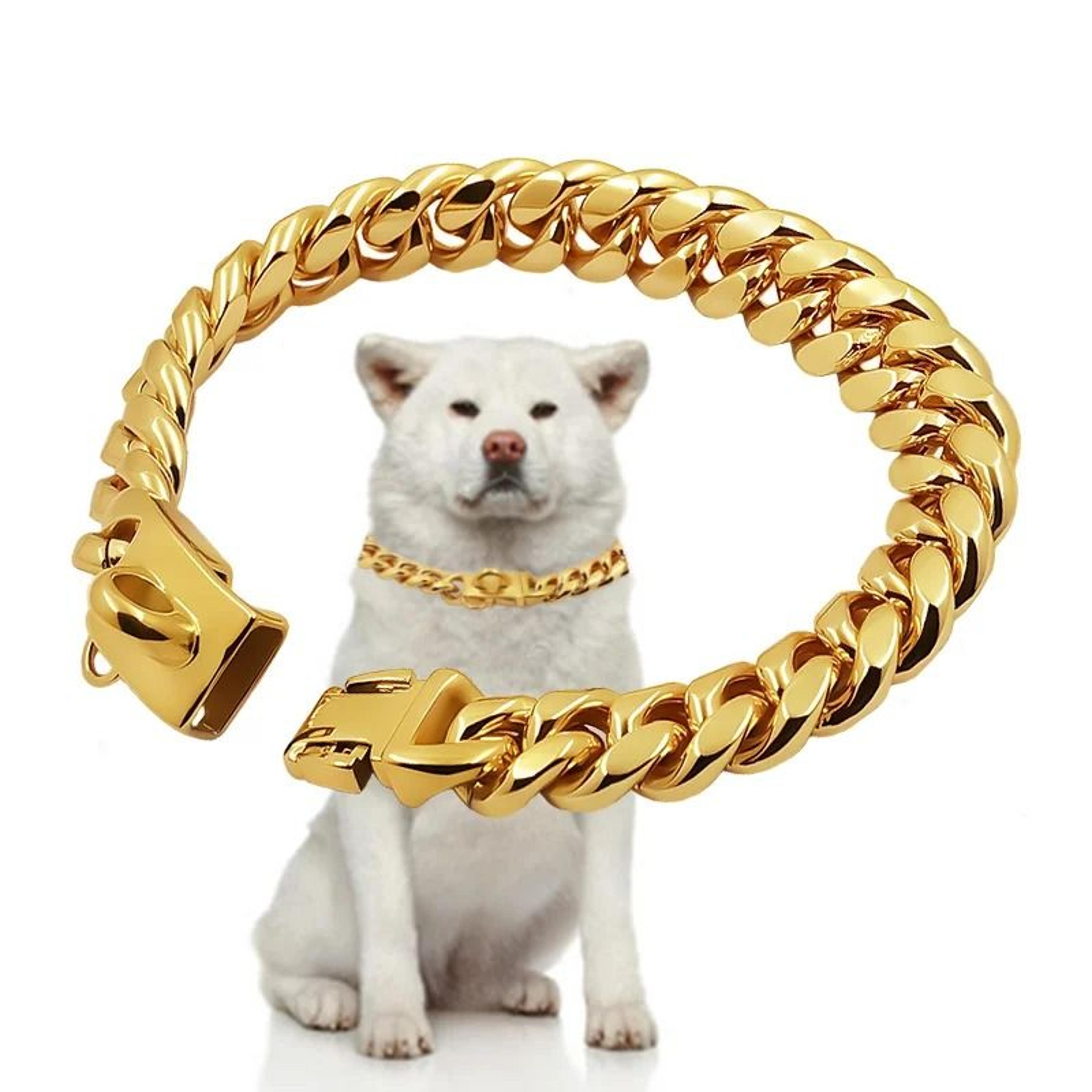 Luxury 14mm Gold Cuban Link Chain Dog Collar 1