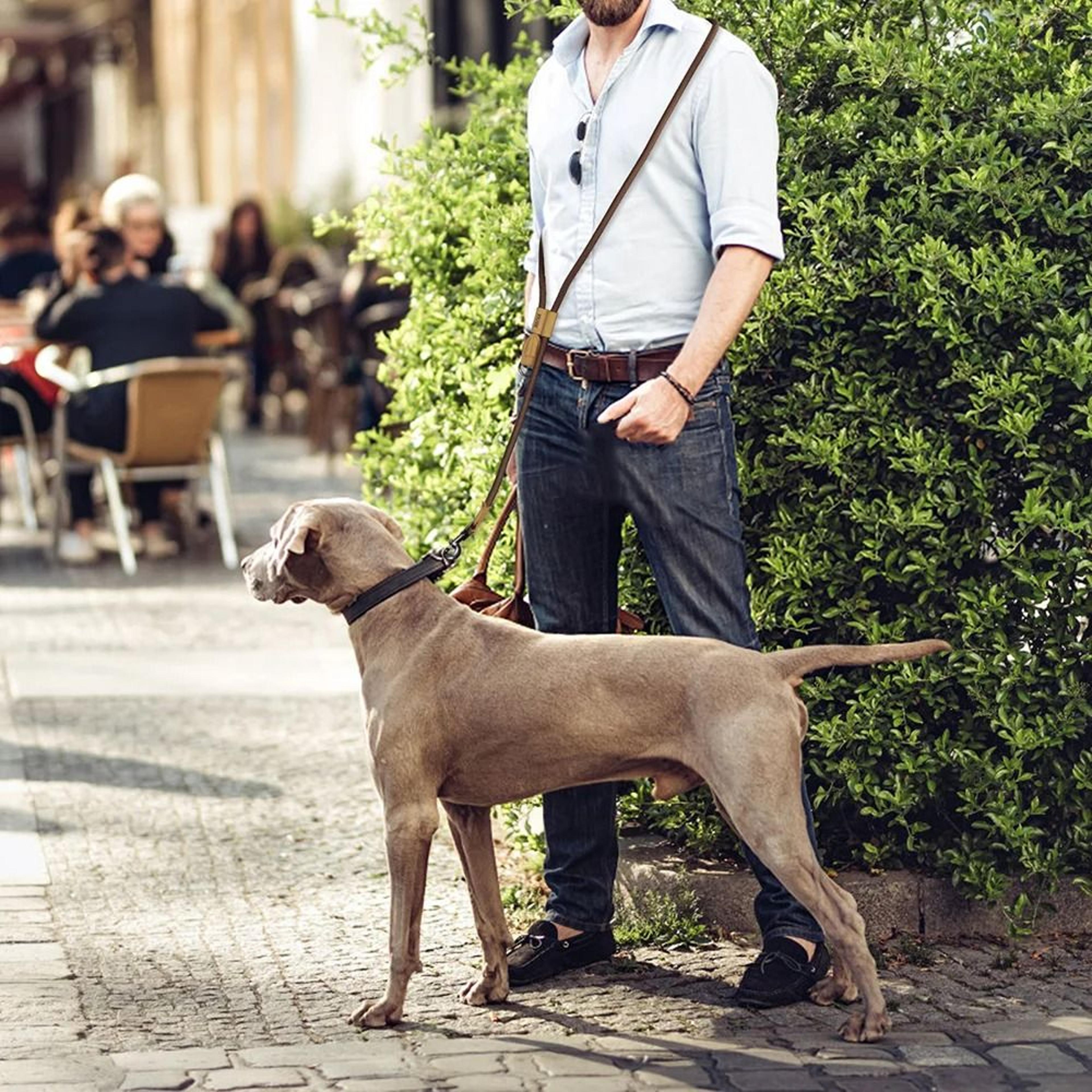 Simplicity Series 18M HandsFree Running Leash 3