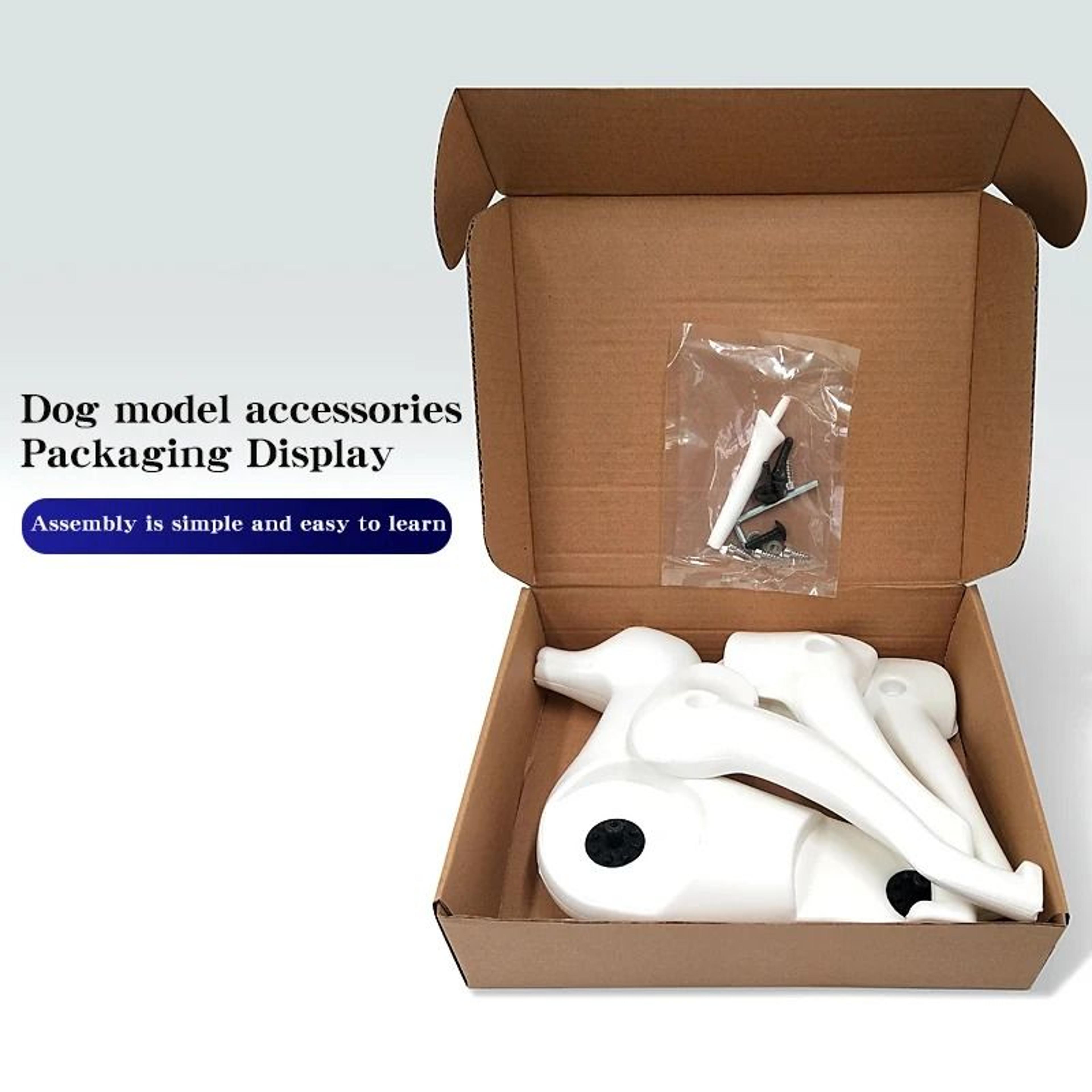 Standard Poodle Full Body Grooming Practice Model 5