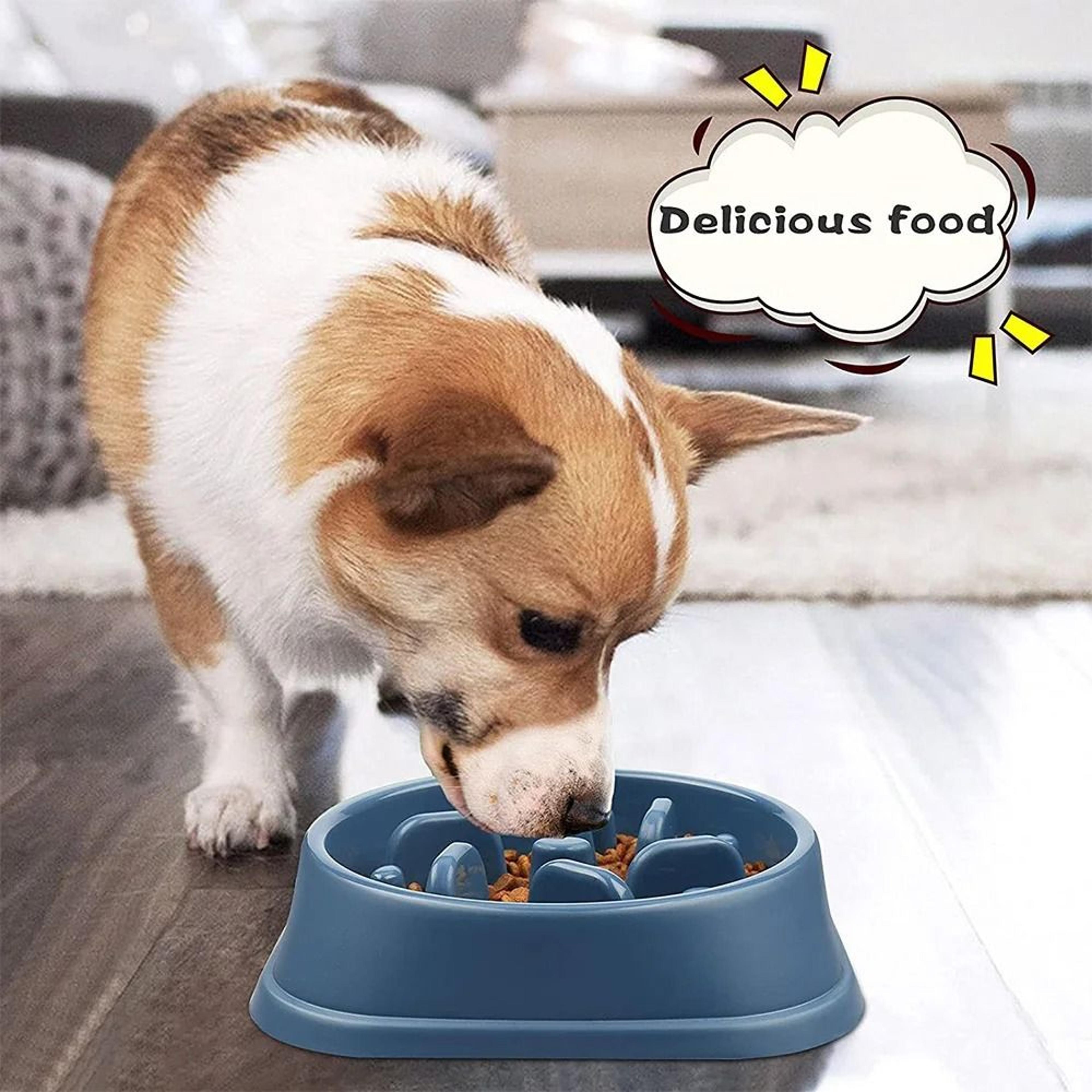 AntiGulping Interactive Slow Feeder Bowl 4