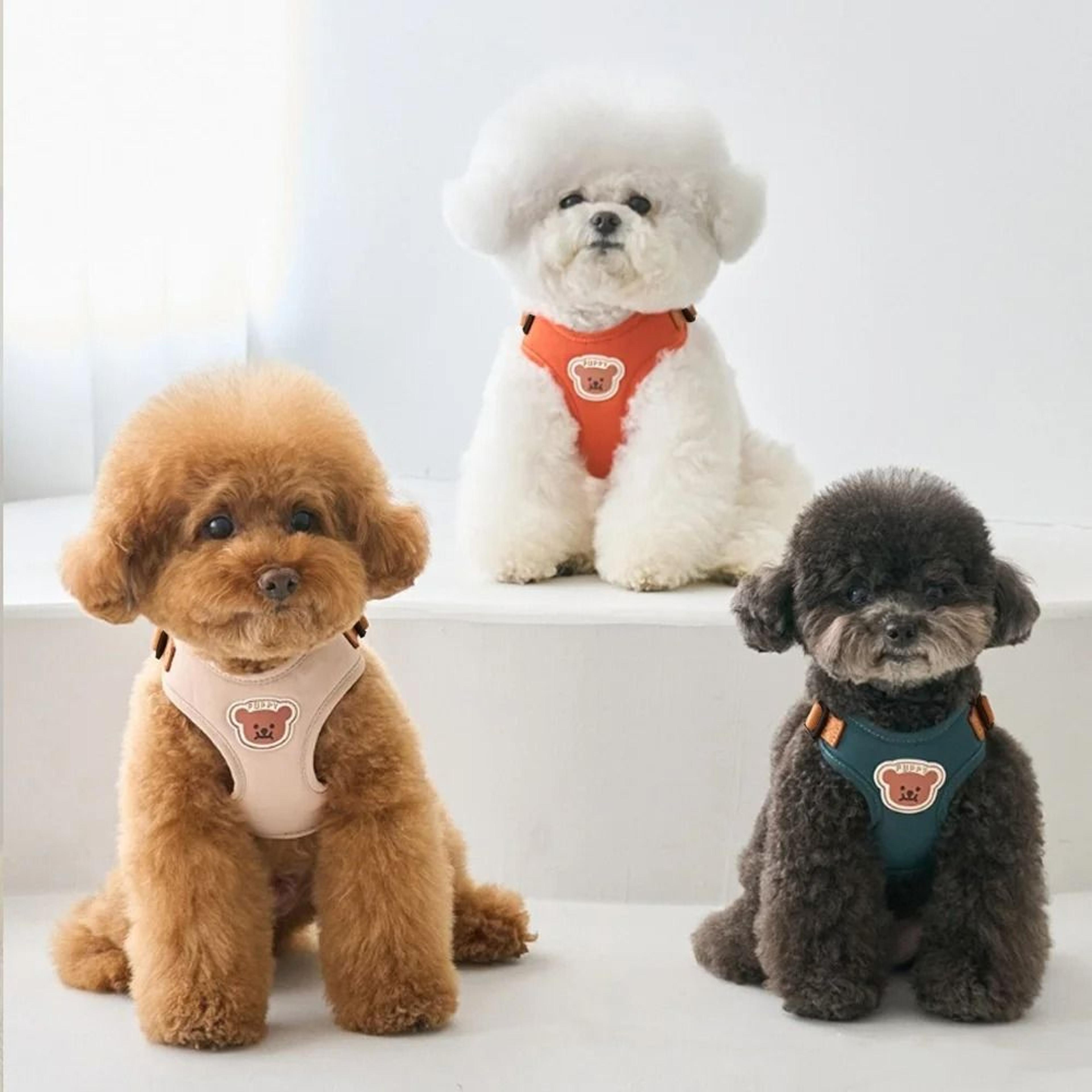 Cute Bear Embroidery Pet Harness  Leash Set 4
