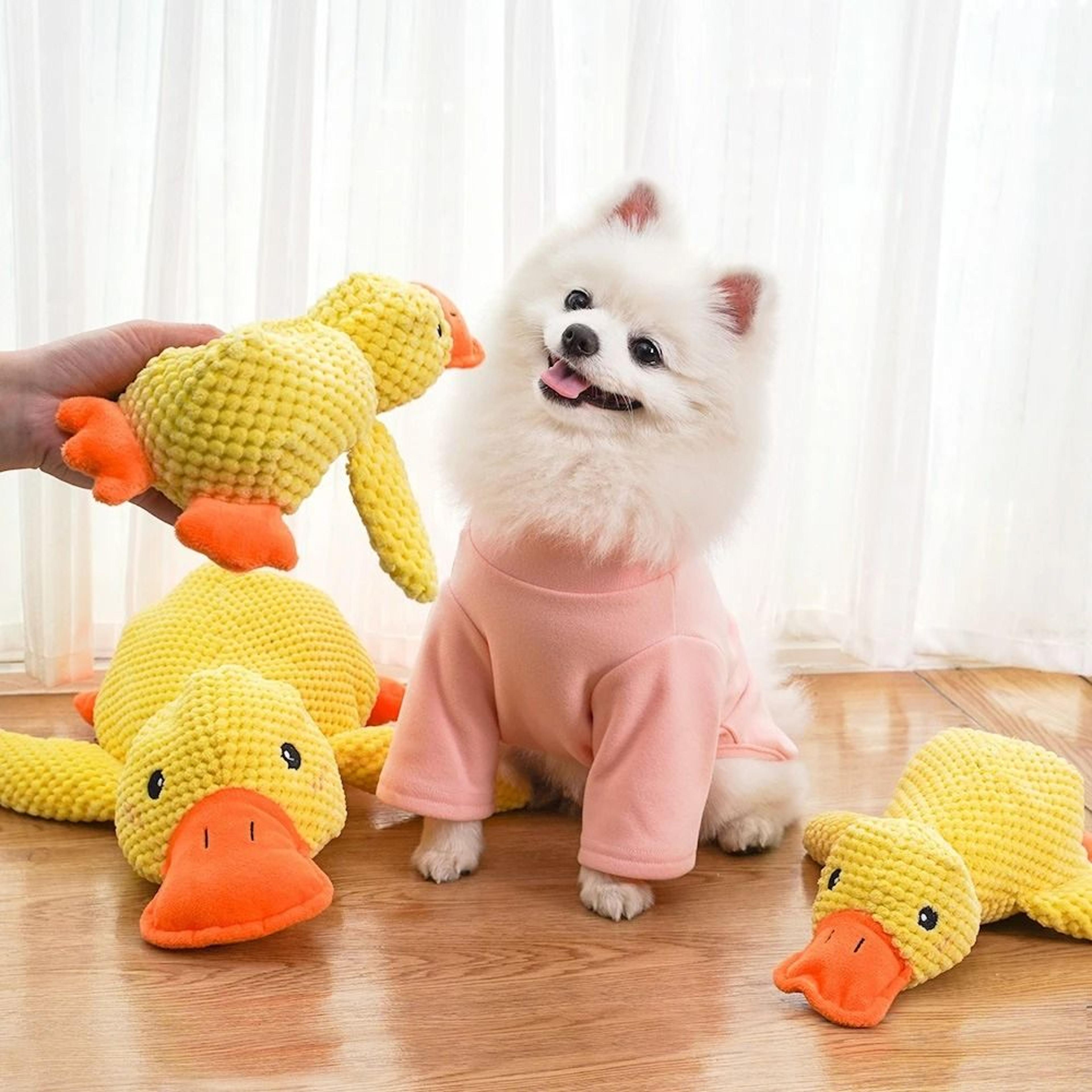 Soft Plush Interactive Squeaky Companion 3