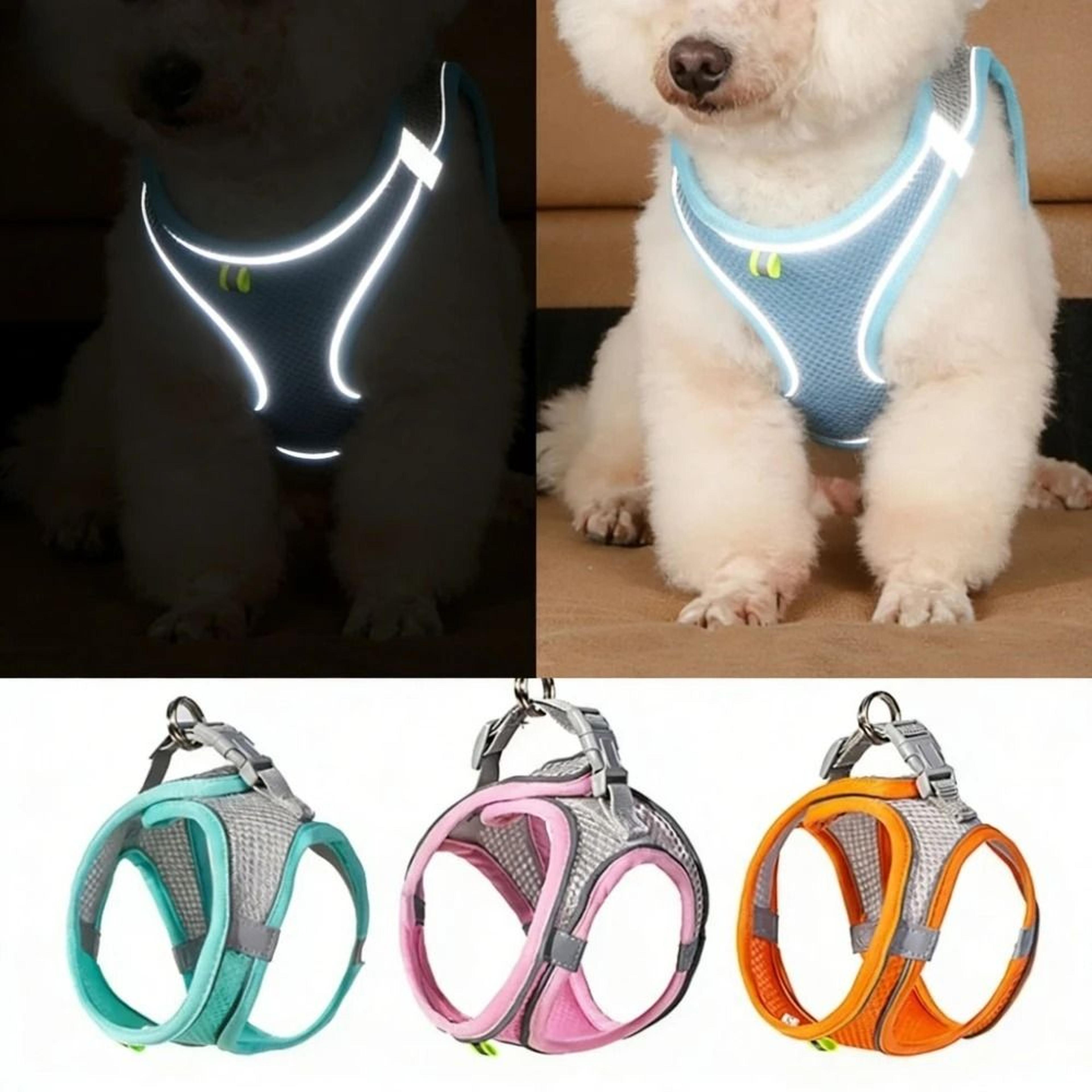 UltraLightweight Reflective Mesh Harness  Leash Set 0