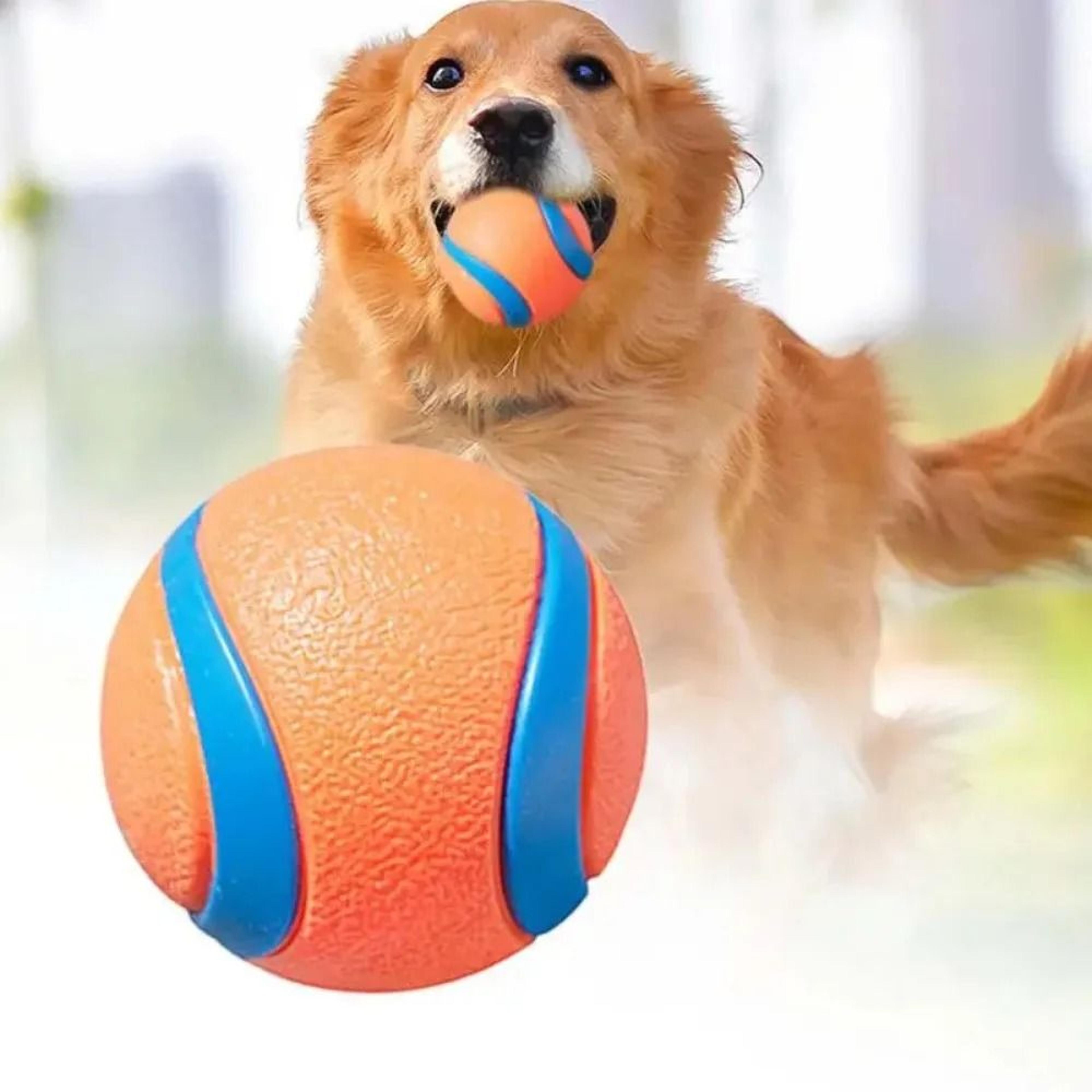 high-elasticity solid fetch ball