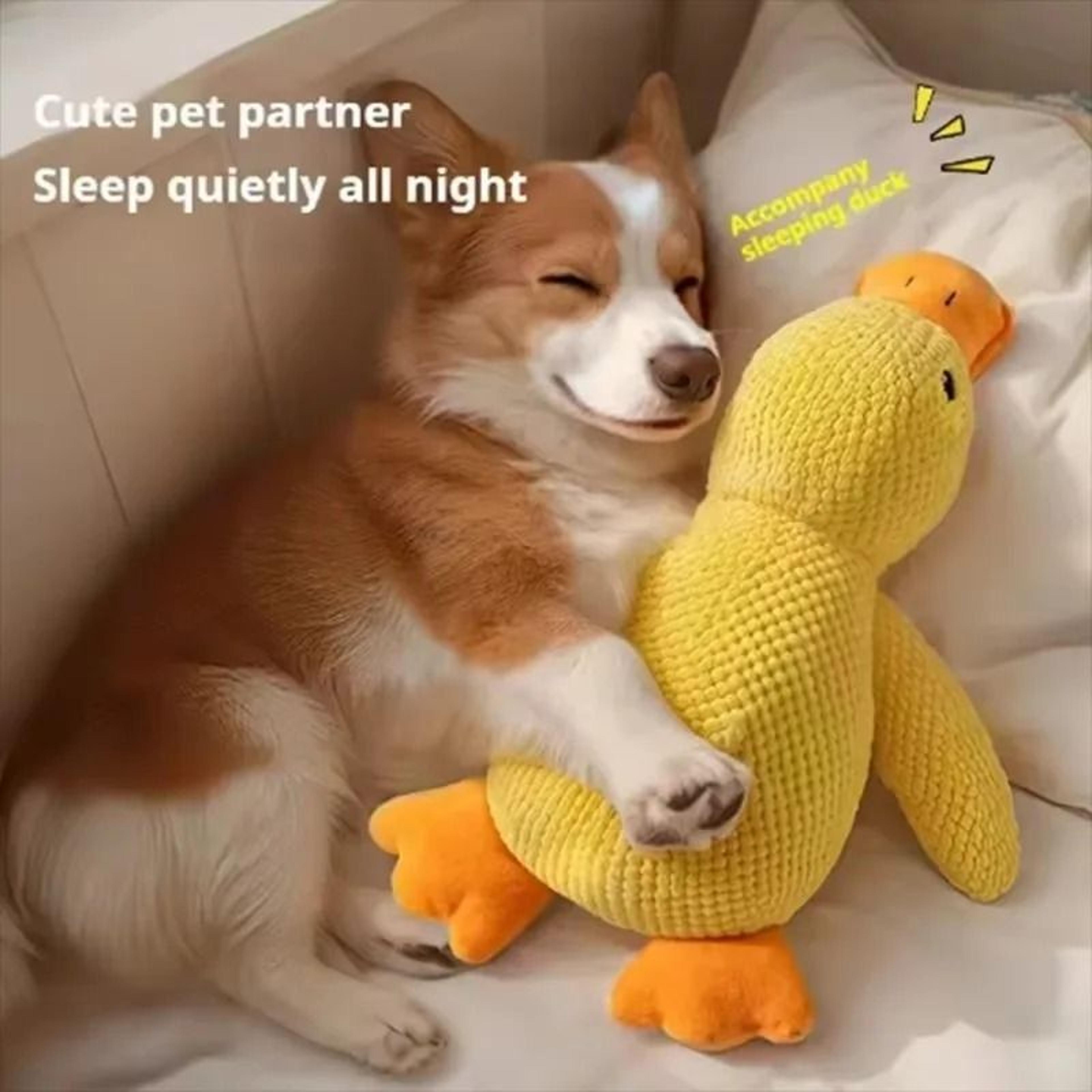Quacking Mallard MultiTexture Plush Toy 1