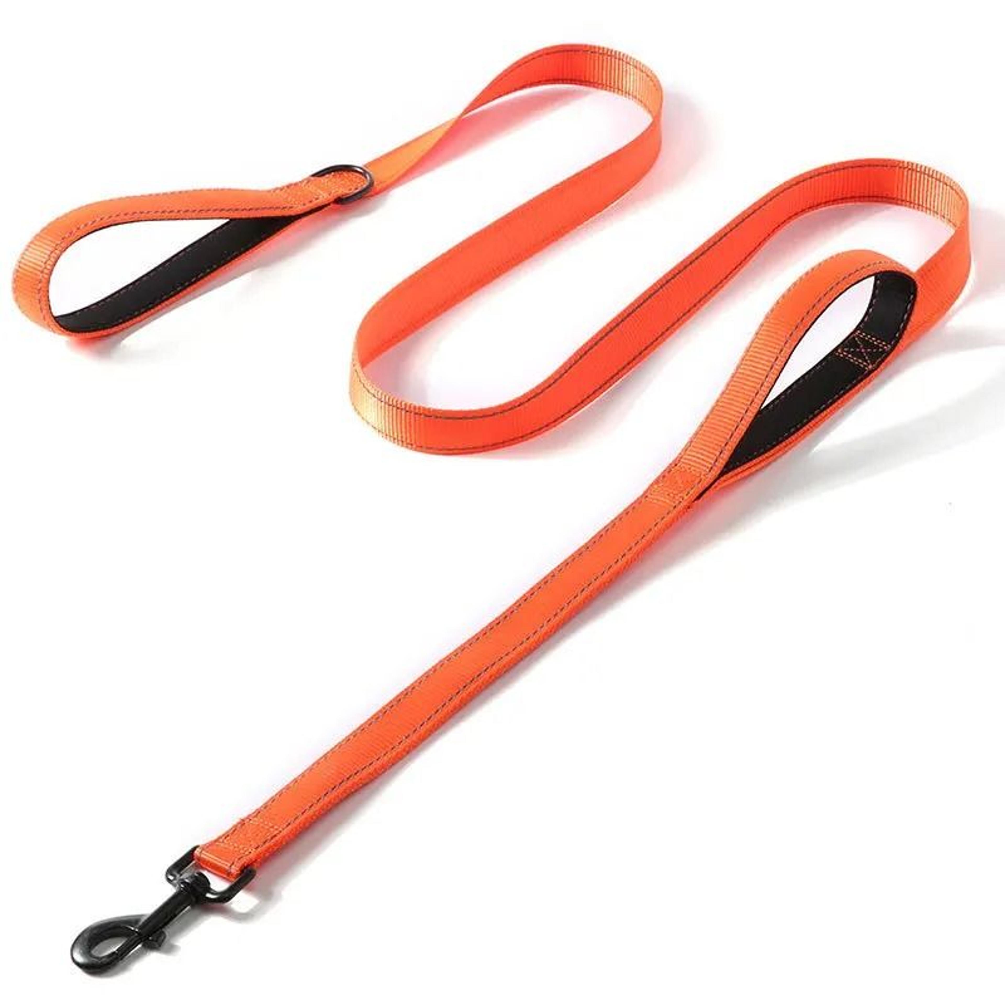 DualControl Heavy Duty ProTrainer Leash 13