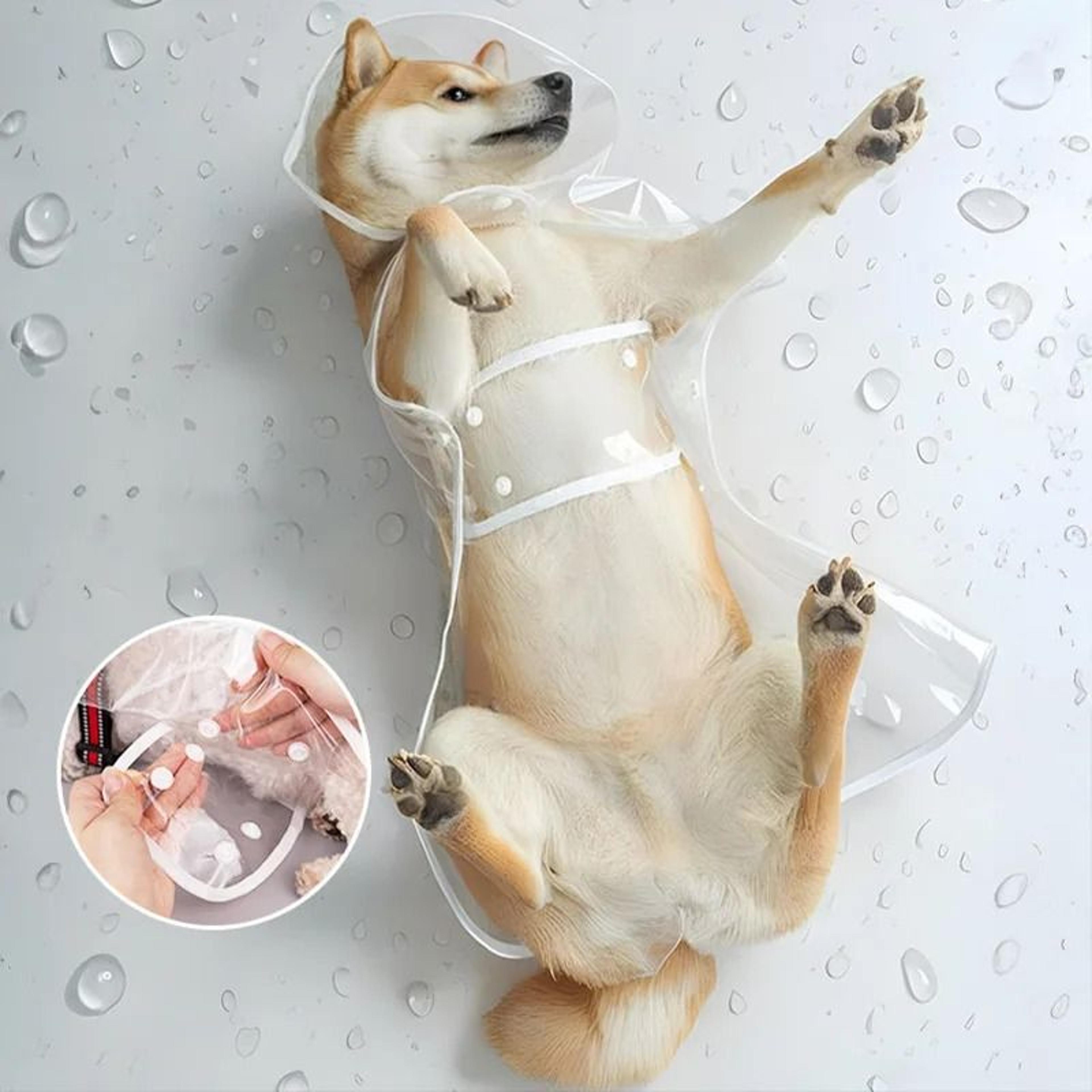 CrystalClear AllWeather Pet Raincoat 4