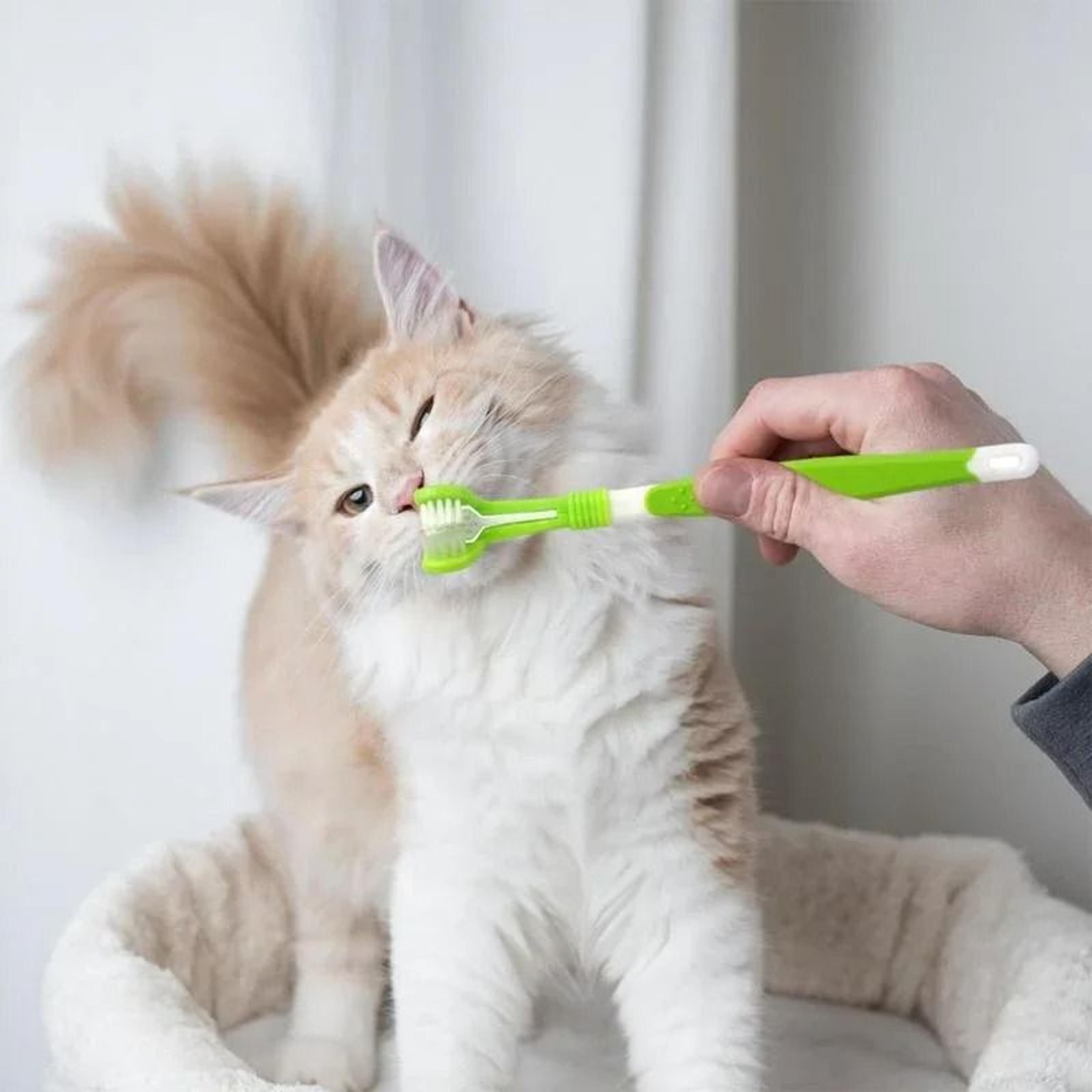 ProClean 3Sided Ergonomic Pet Toothbrush 3