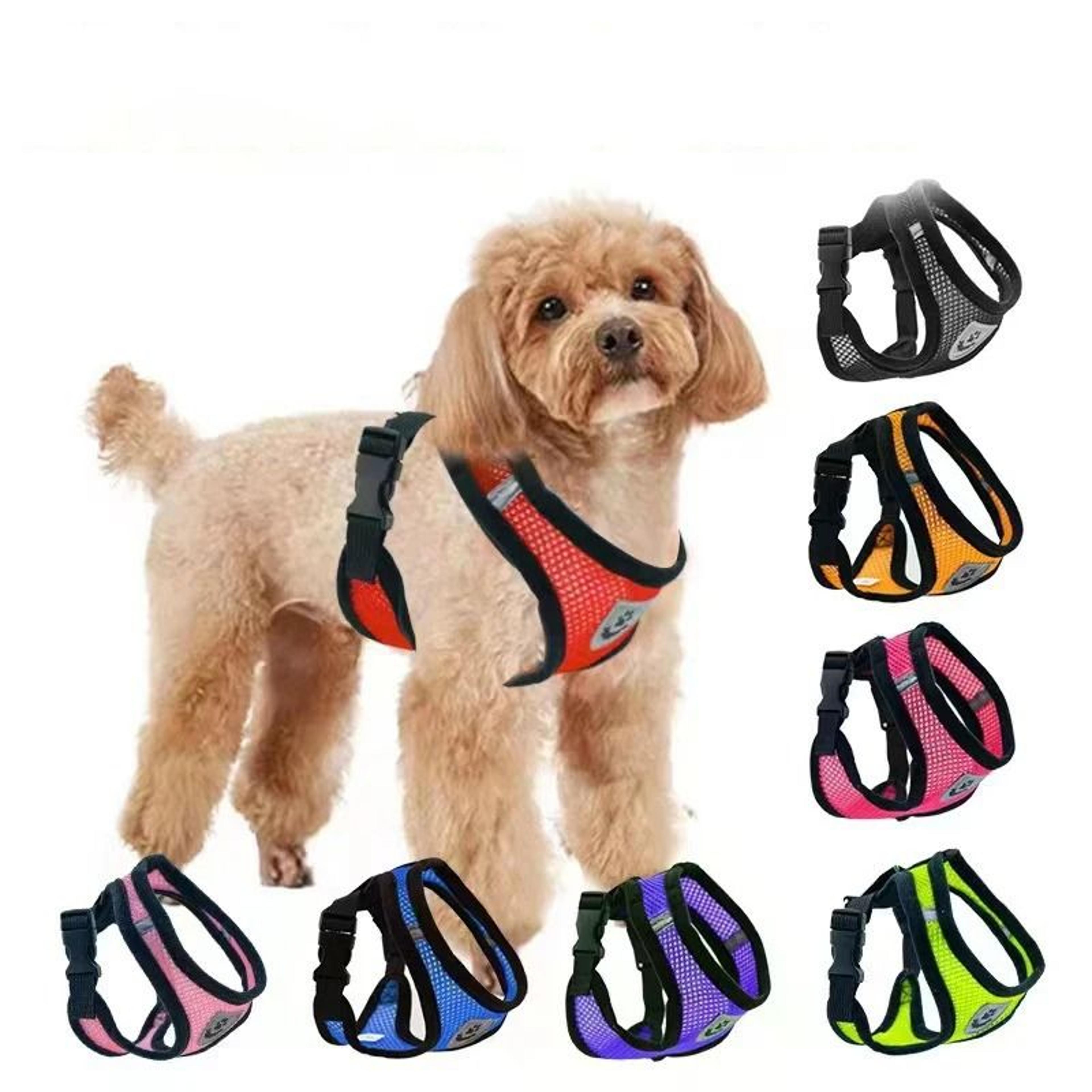 UltraBreathable AirMesh Harness  Leash Set 1