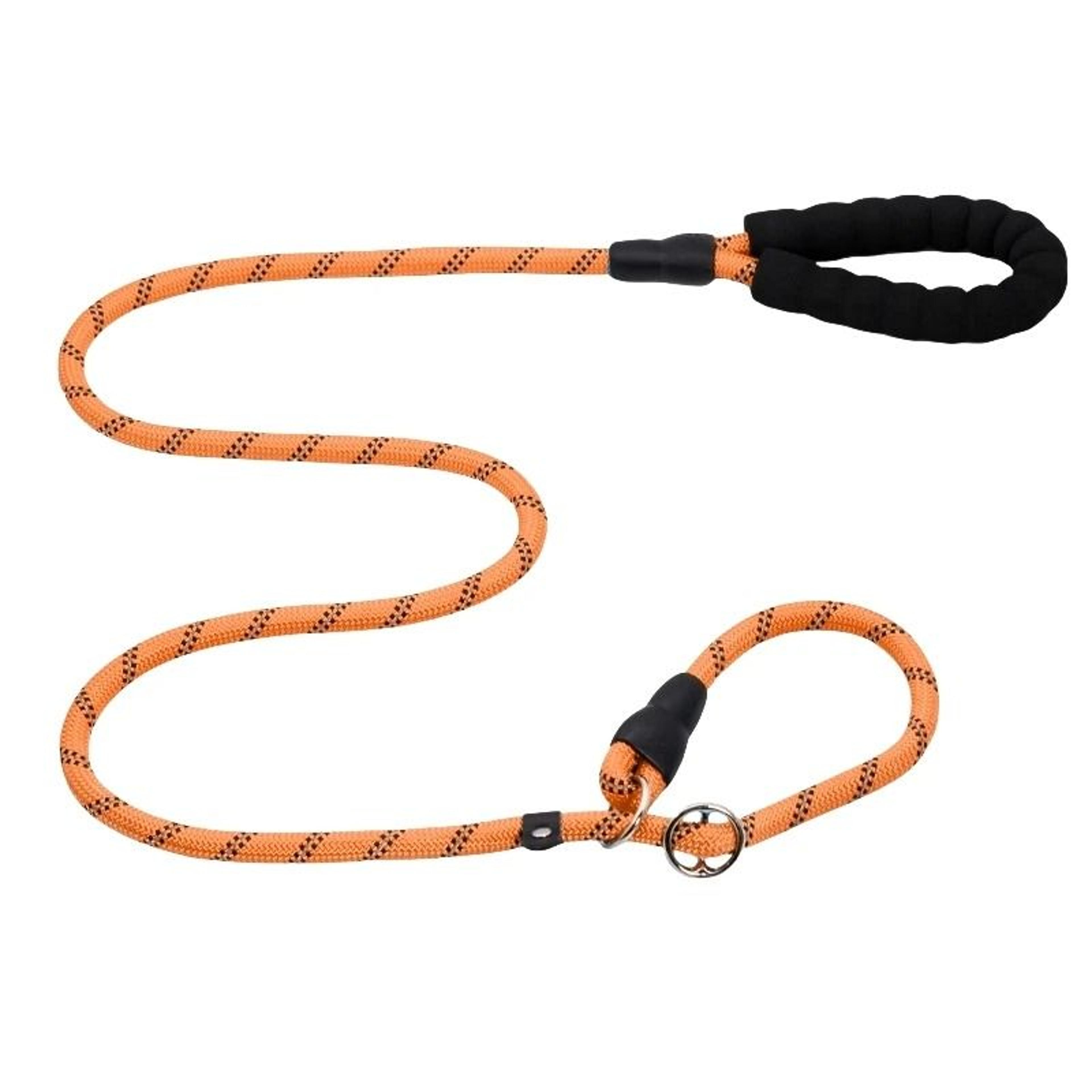 StrongGrip AntiLunge Training Lead 11