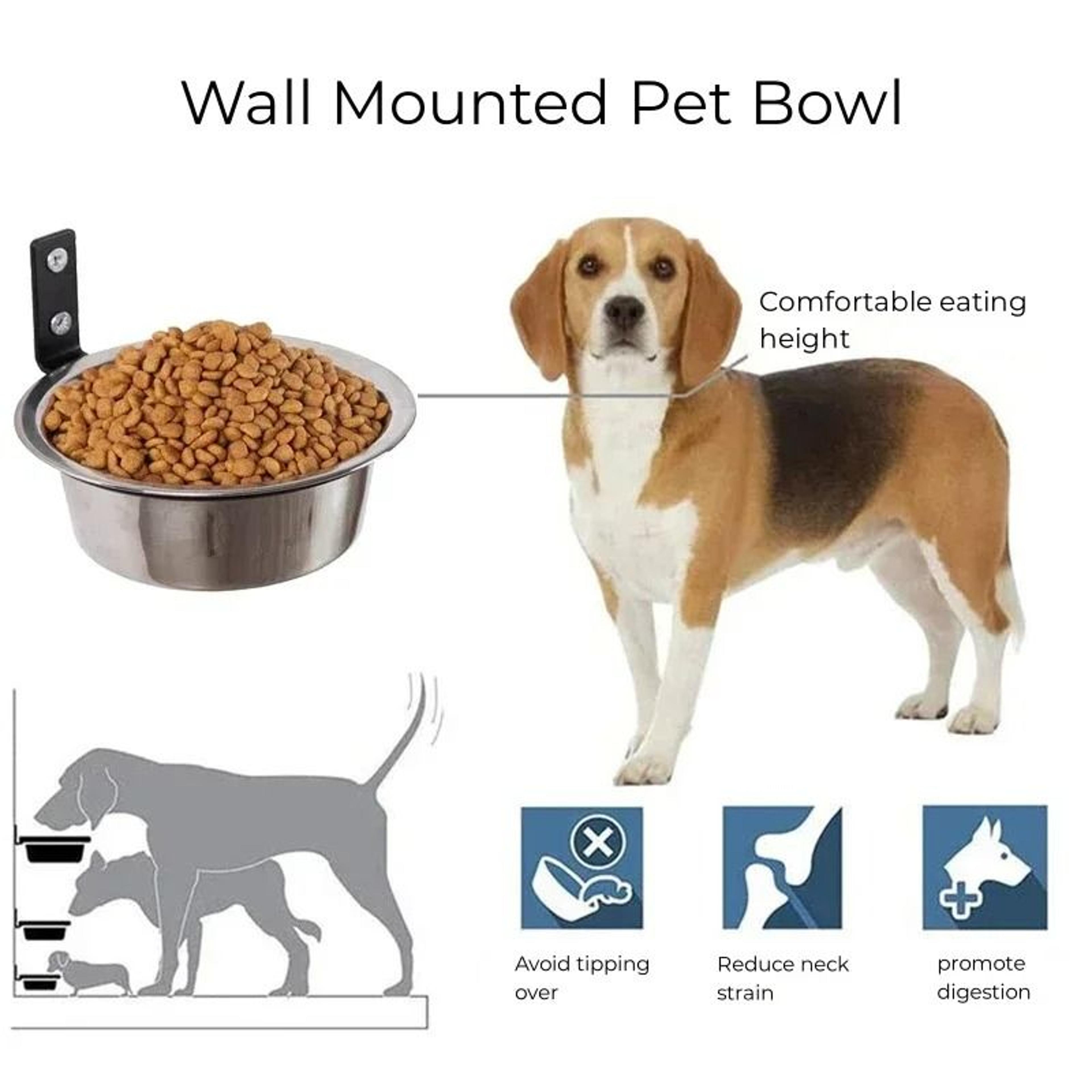 SkyDine WallMounted Elevated Feeding Station 3