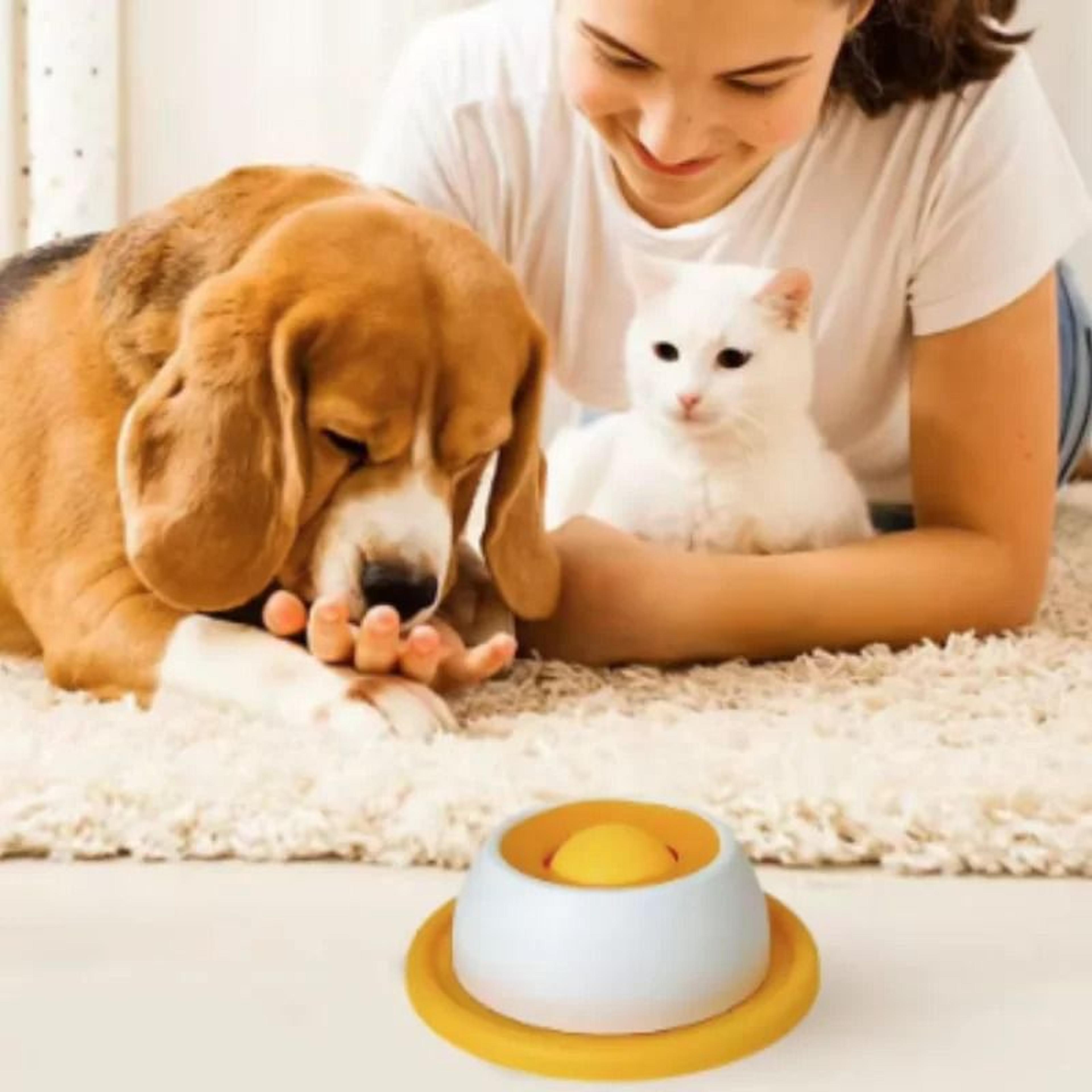 ZenLick Calming Slow Feeder  Lick Plate 2