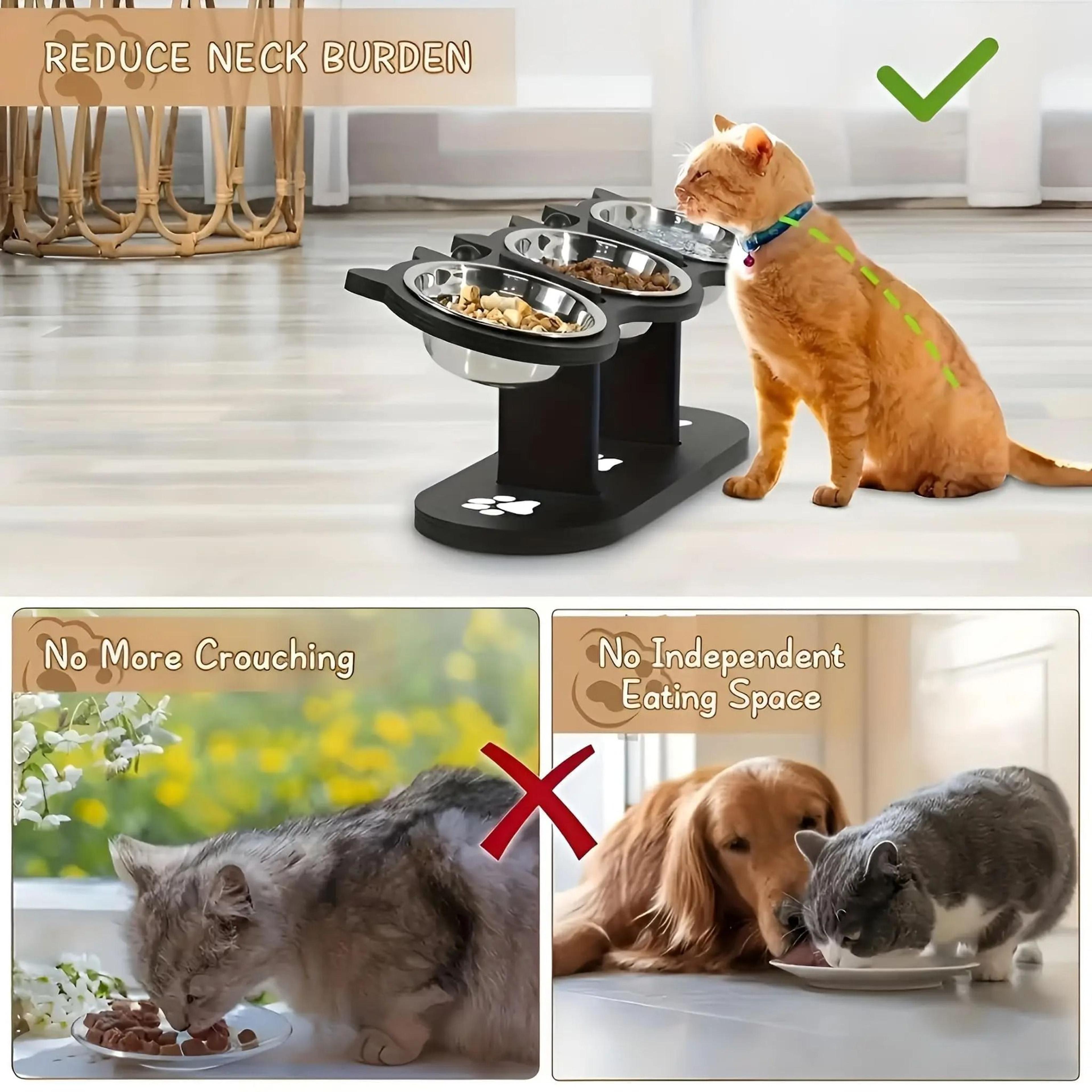 SummitDine Triple Elevated Feeding Station 1