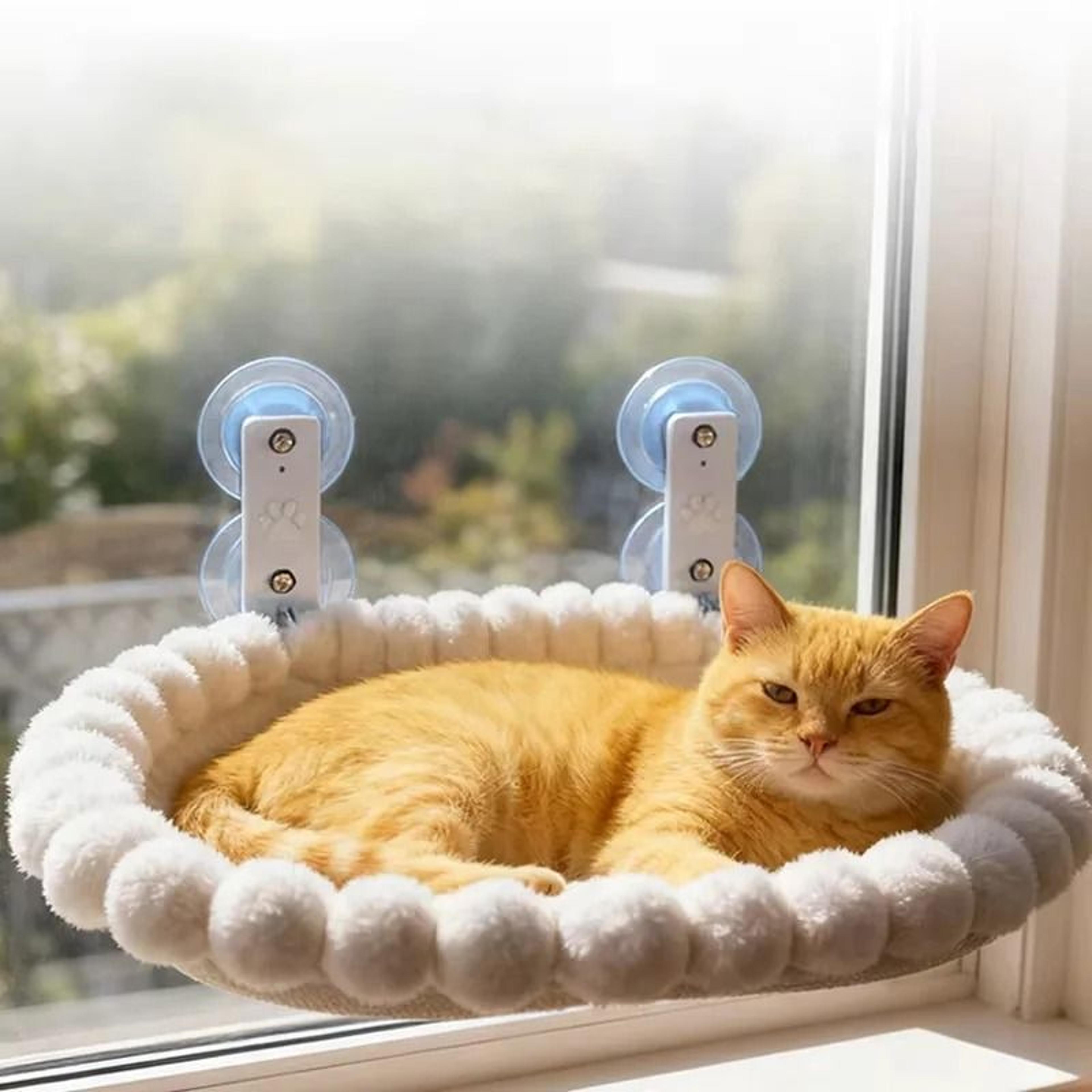 VistaView Panoramic Window Hammock 1