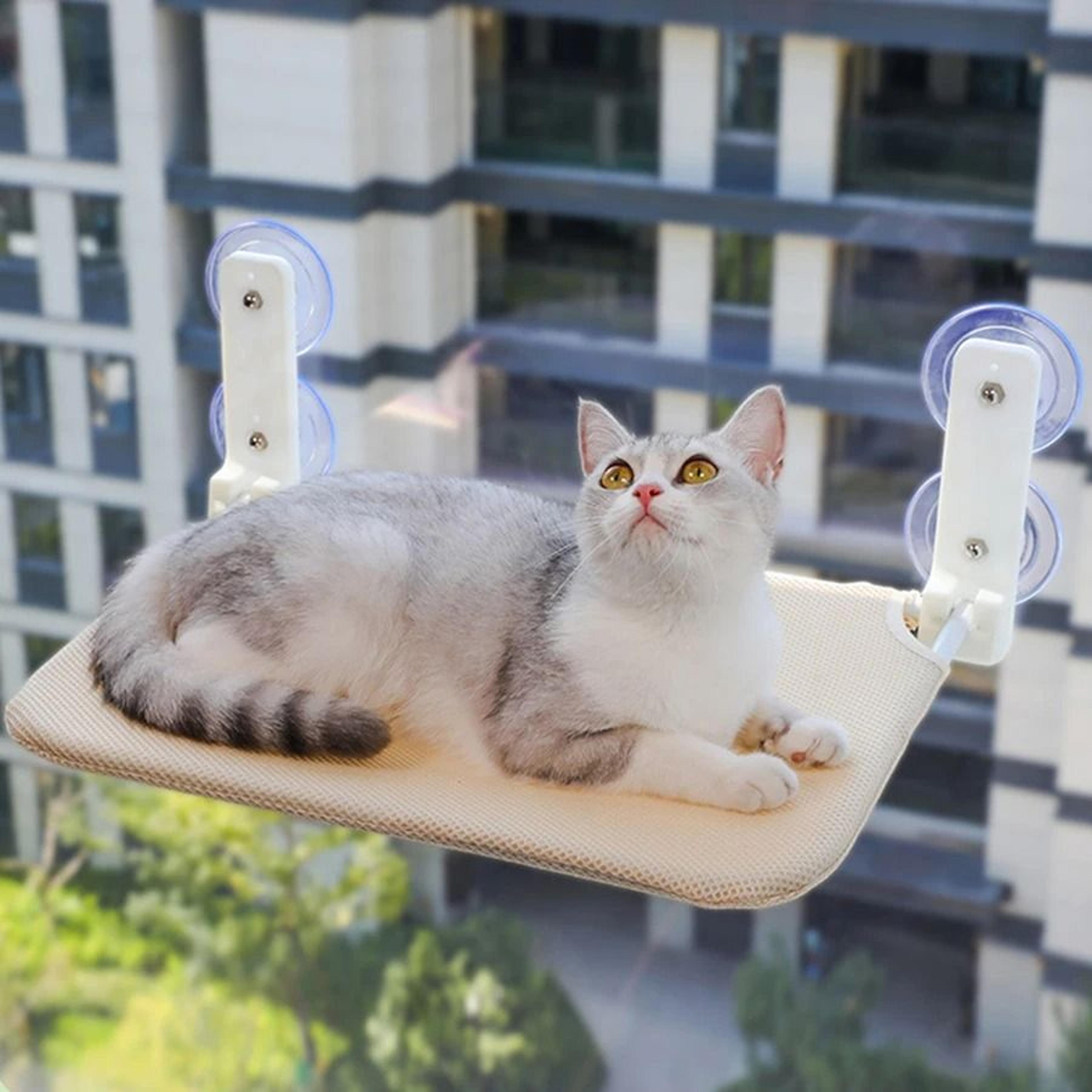 aero-view window-mount folding perch