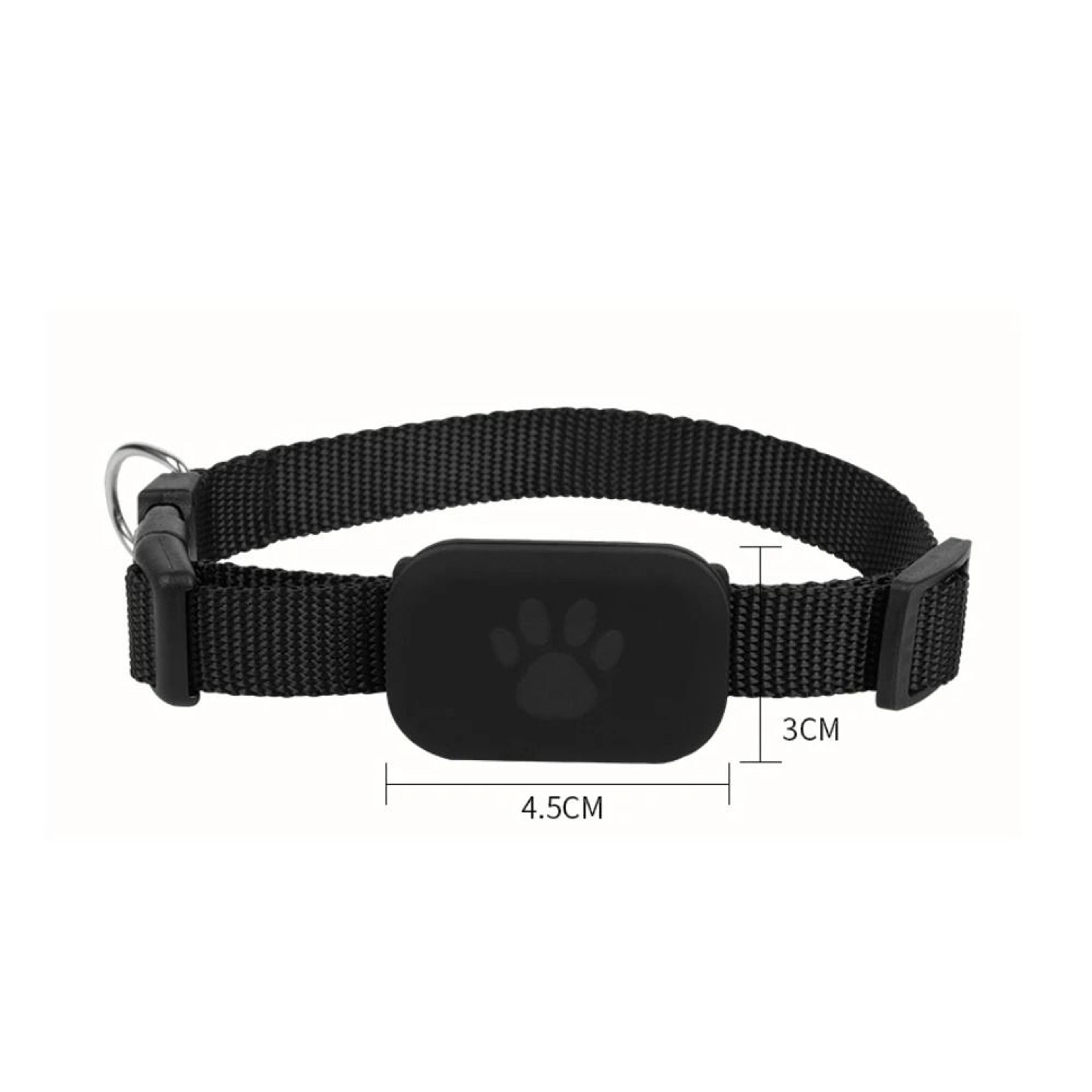 AeroTag Global GPS Tracker Collar 5