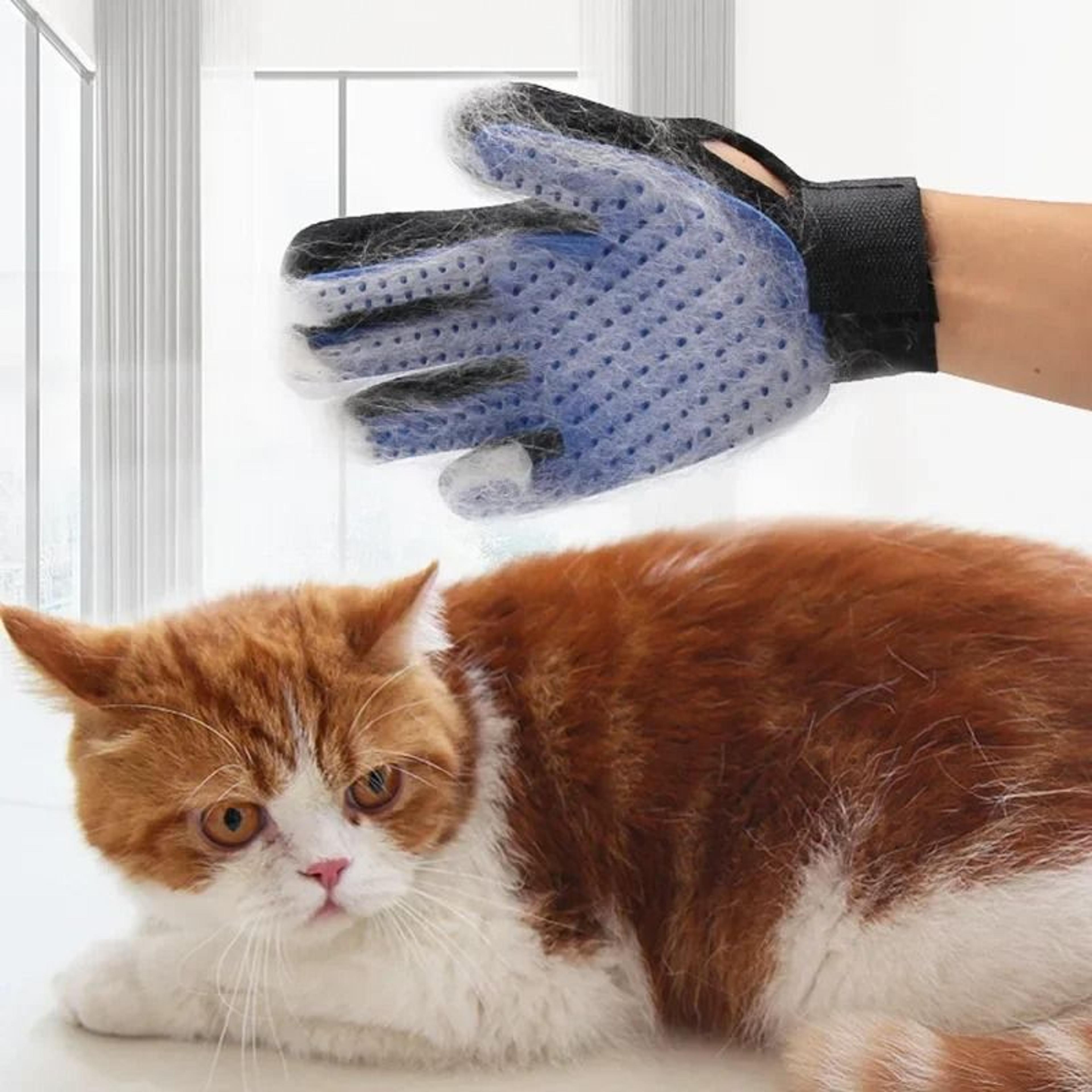 AeroGlove Precision Grooming Mitt 4