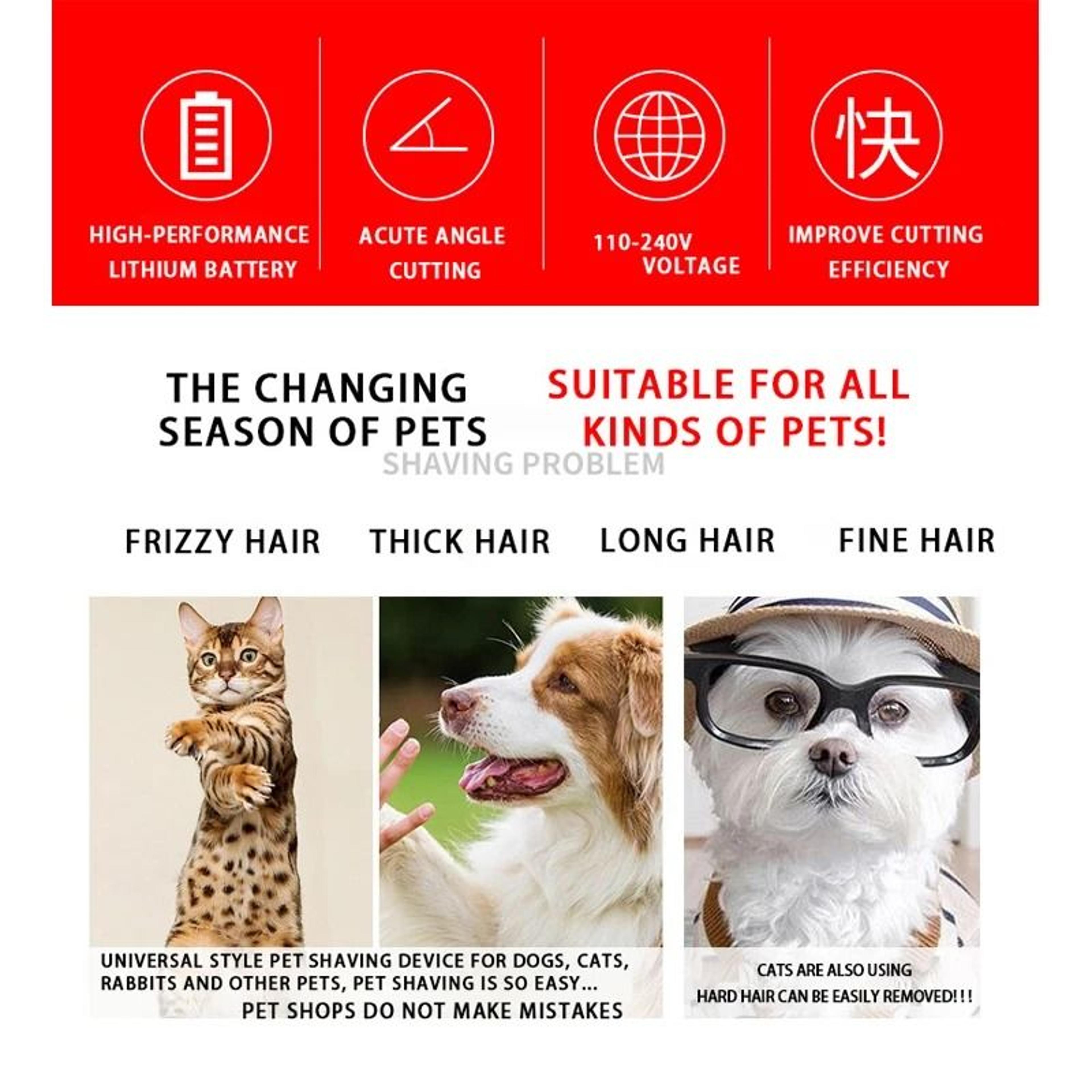 Professional Electric Pet Grooming Kit 4
