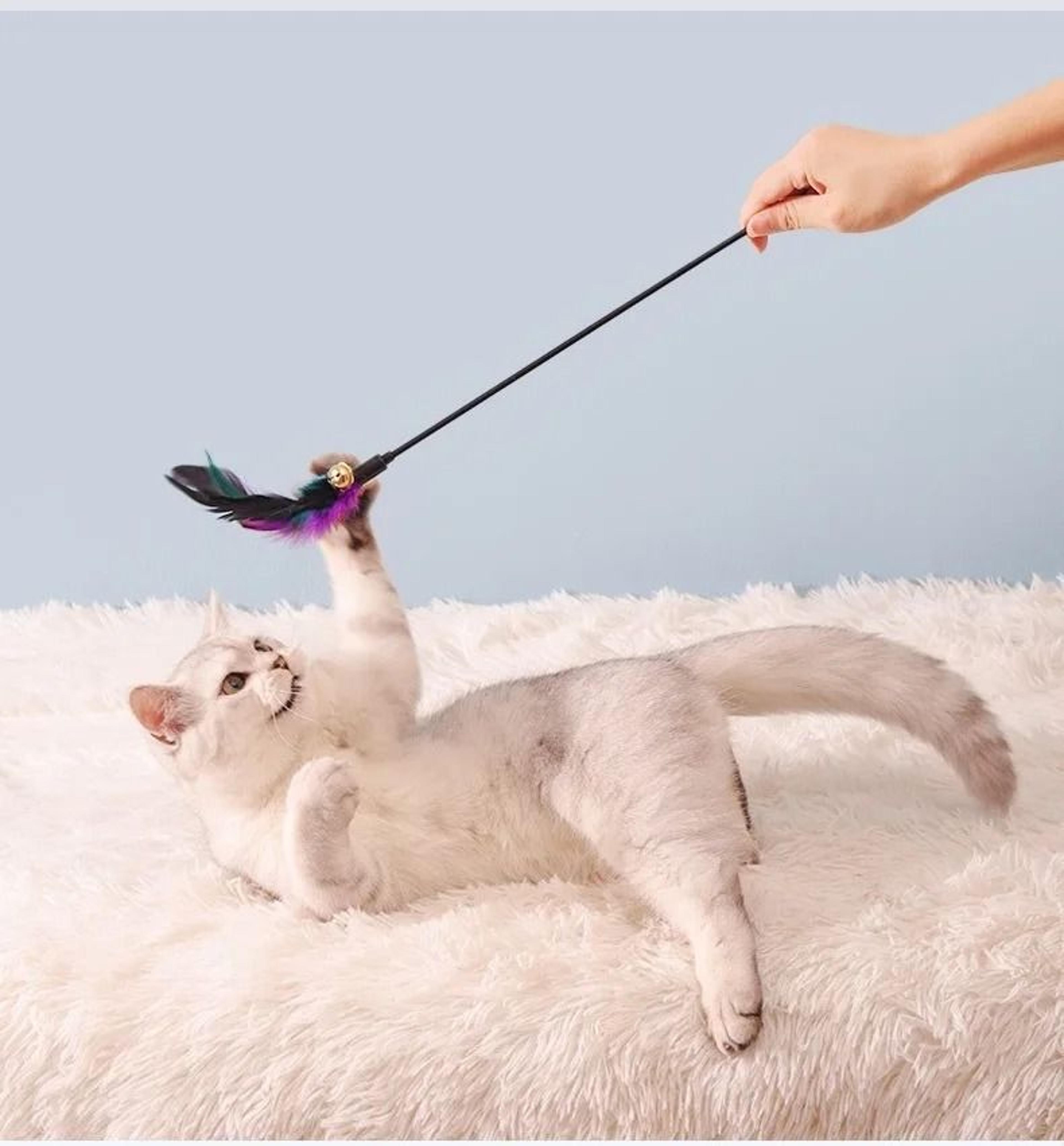 5Piece Interactive Feather Wand Set 3