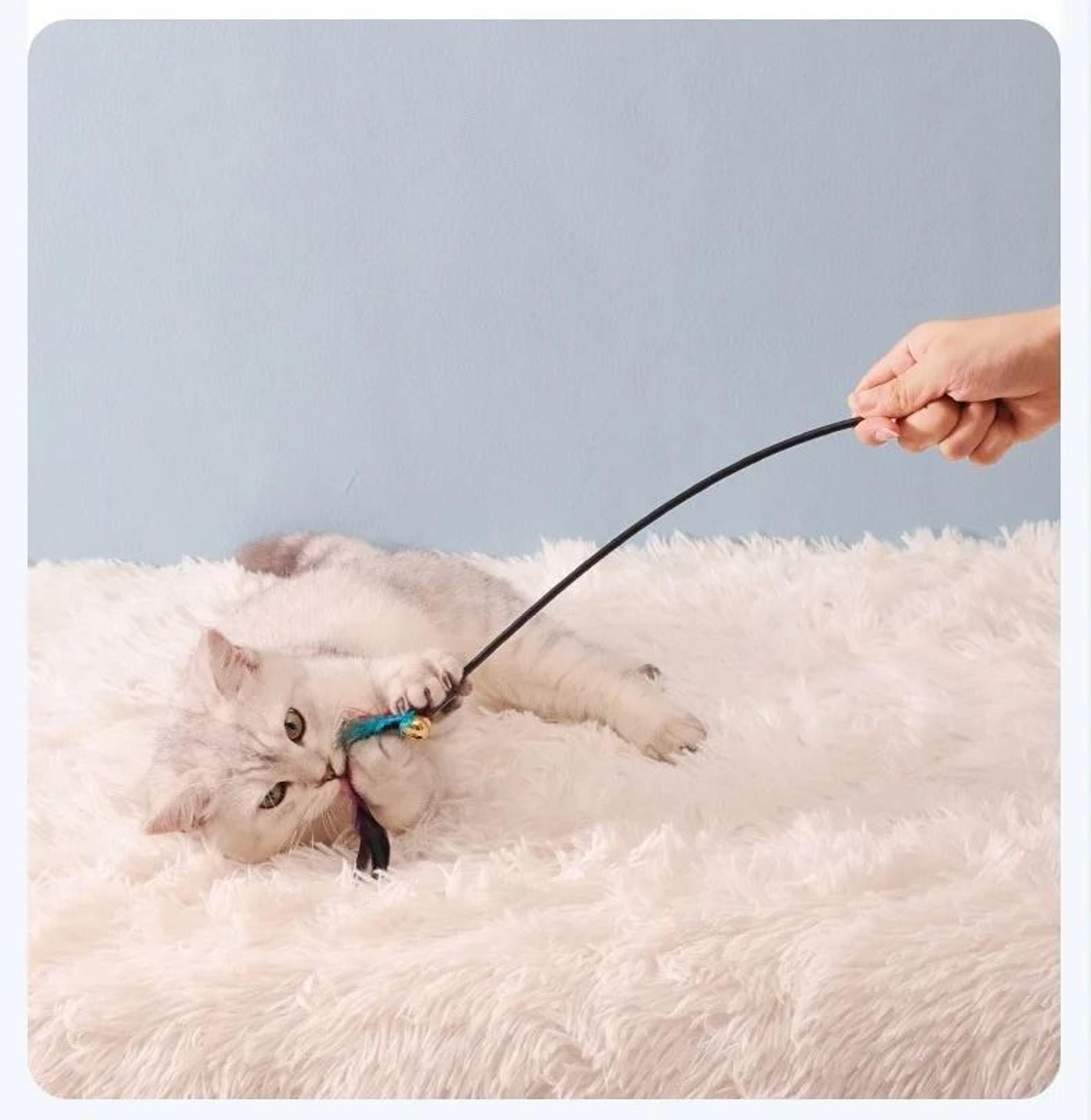 5Piece Interactive Feather Wand Set 4