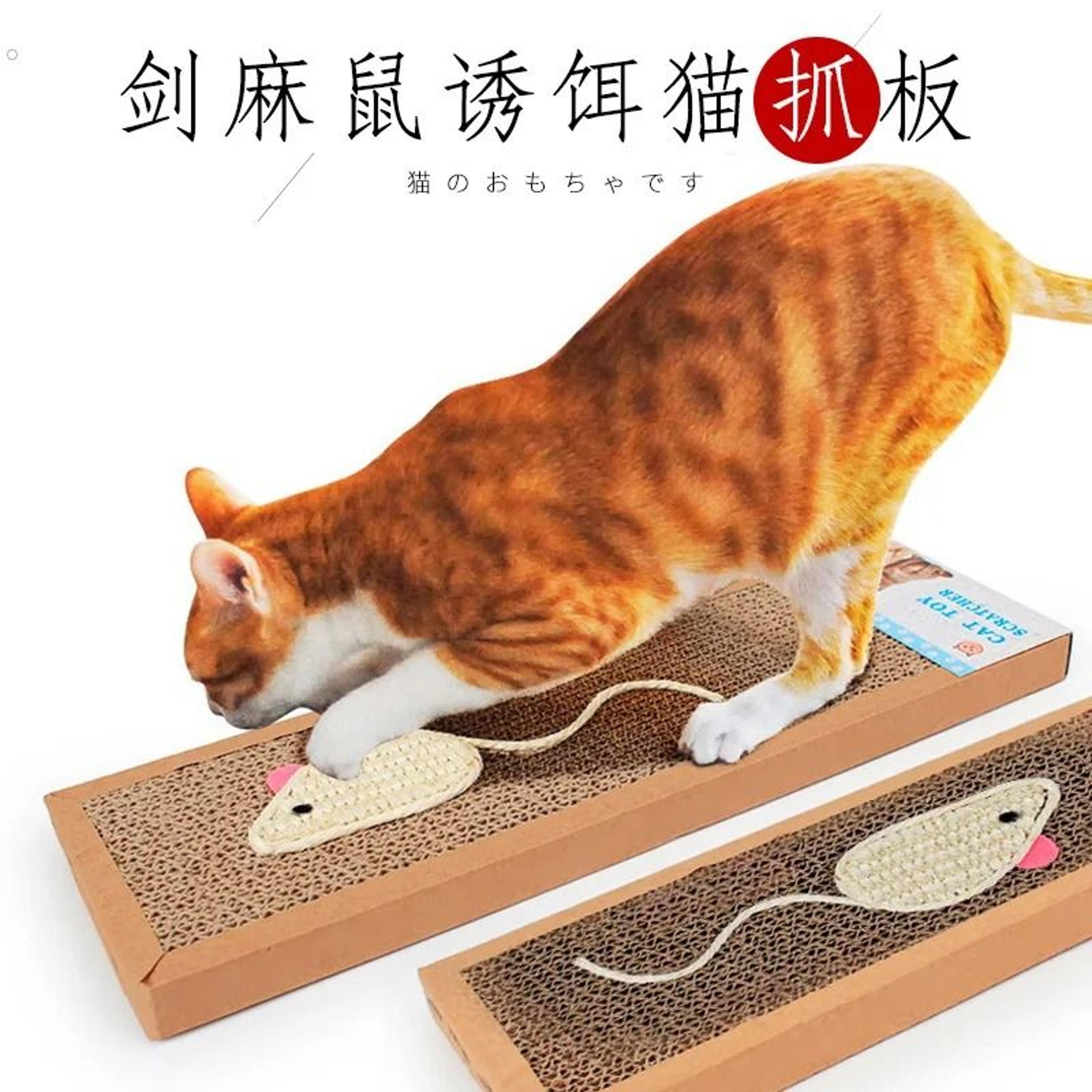 Oval Corrugated Cat Nest  Scratcher 5