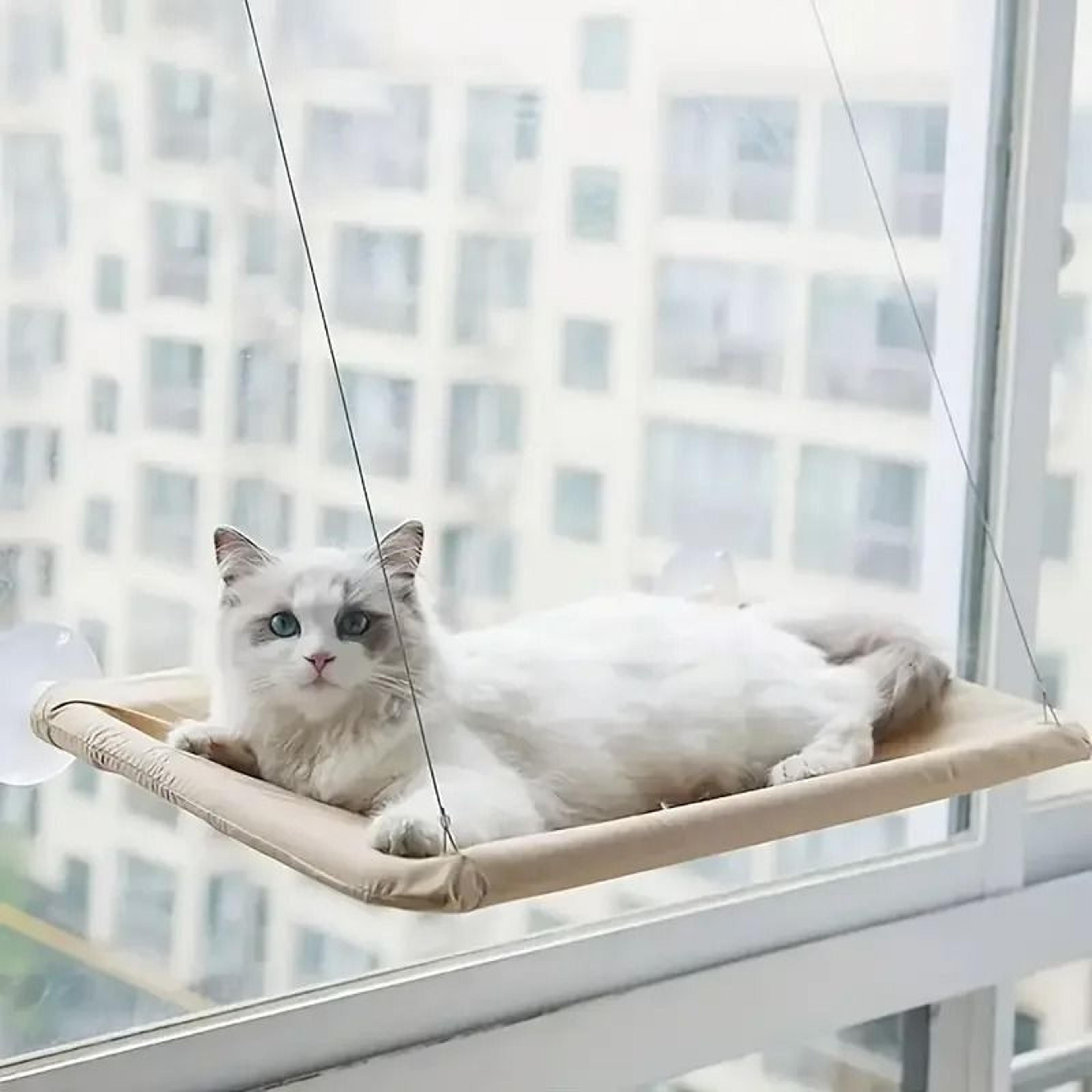 ultra-soft cloud window hammock
