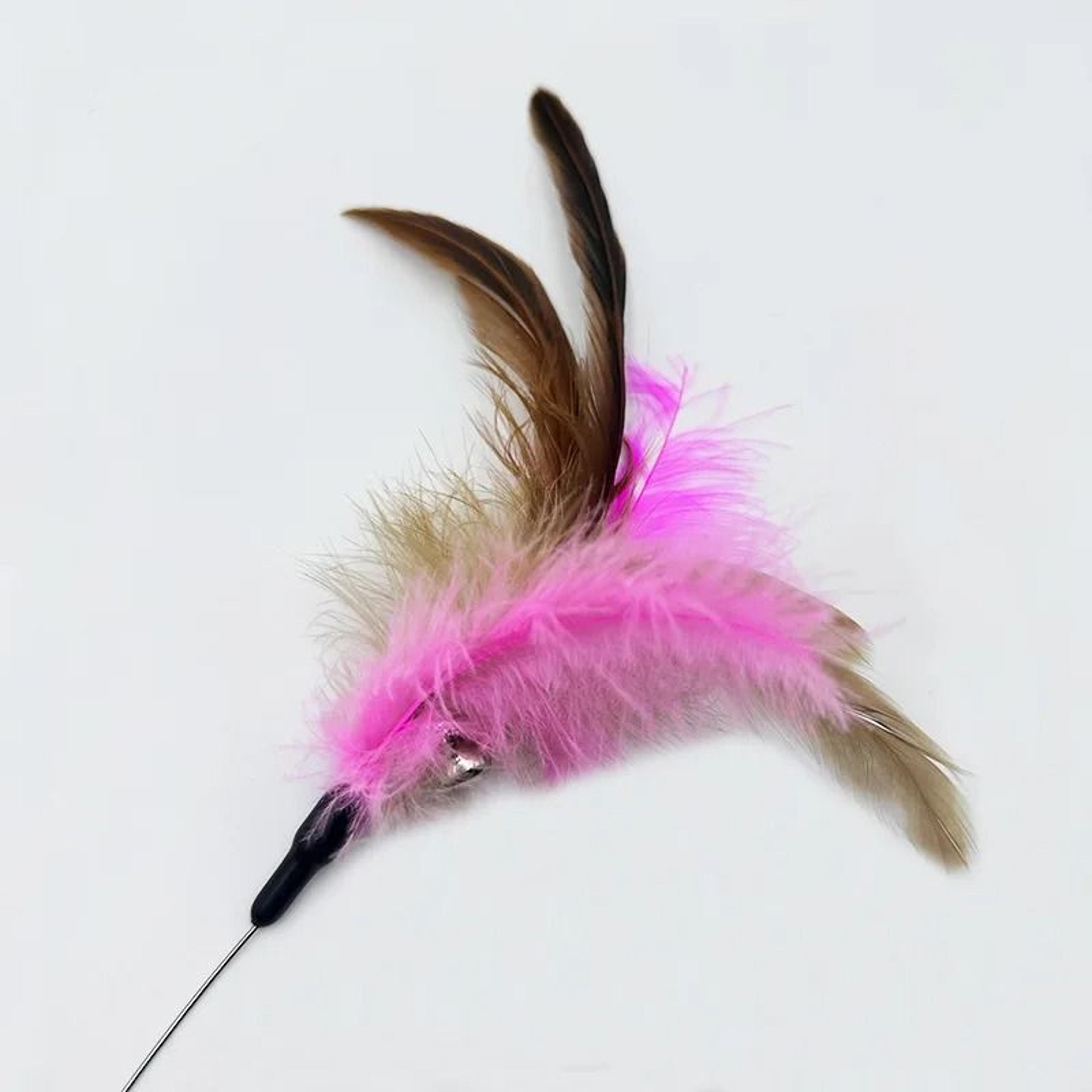 SelfPlay Feather Collar Teaser 4