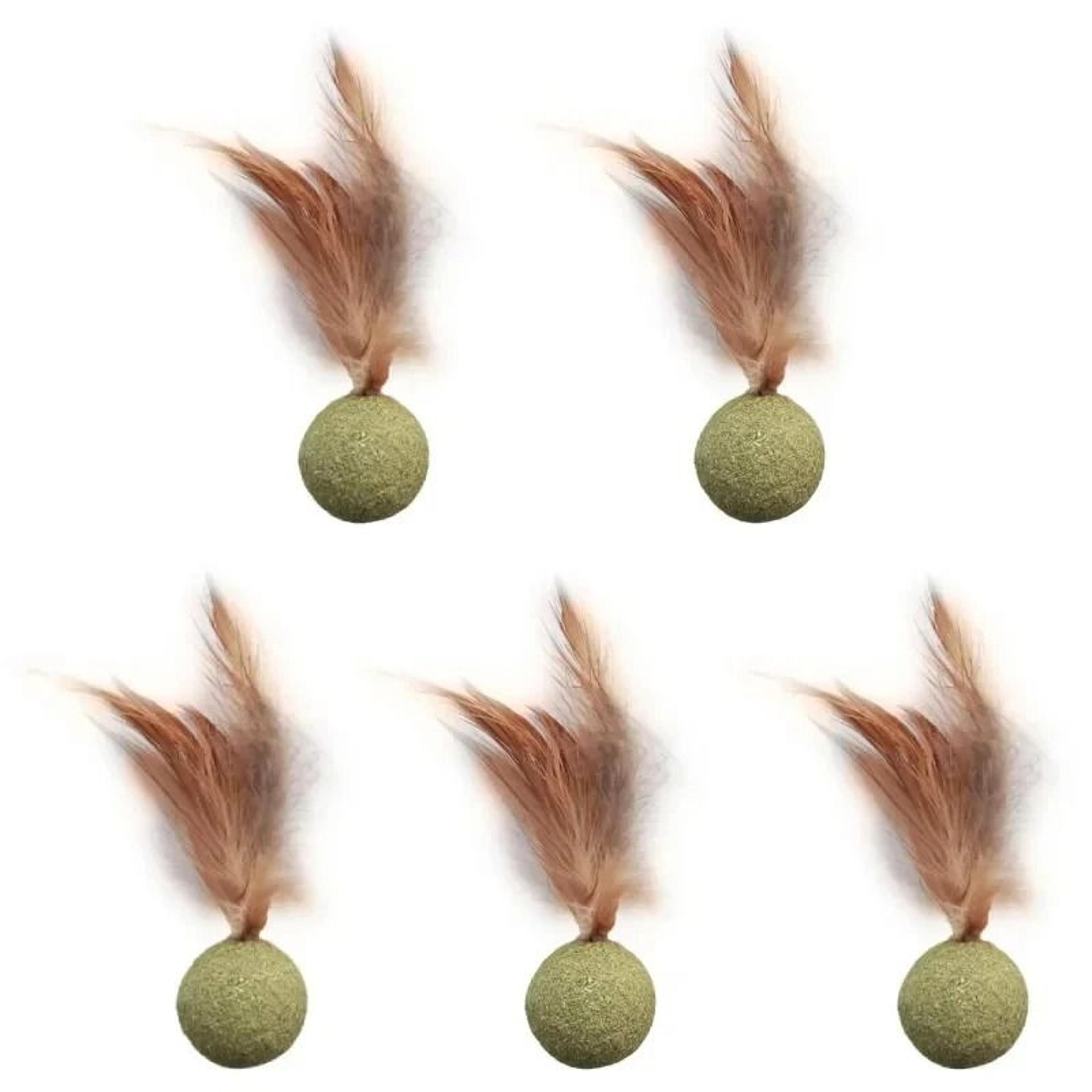 dental-logic feathered catnip sphere