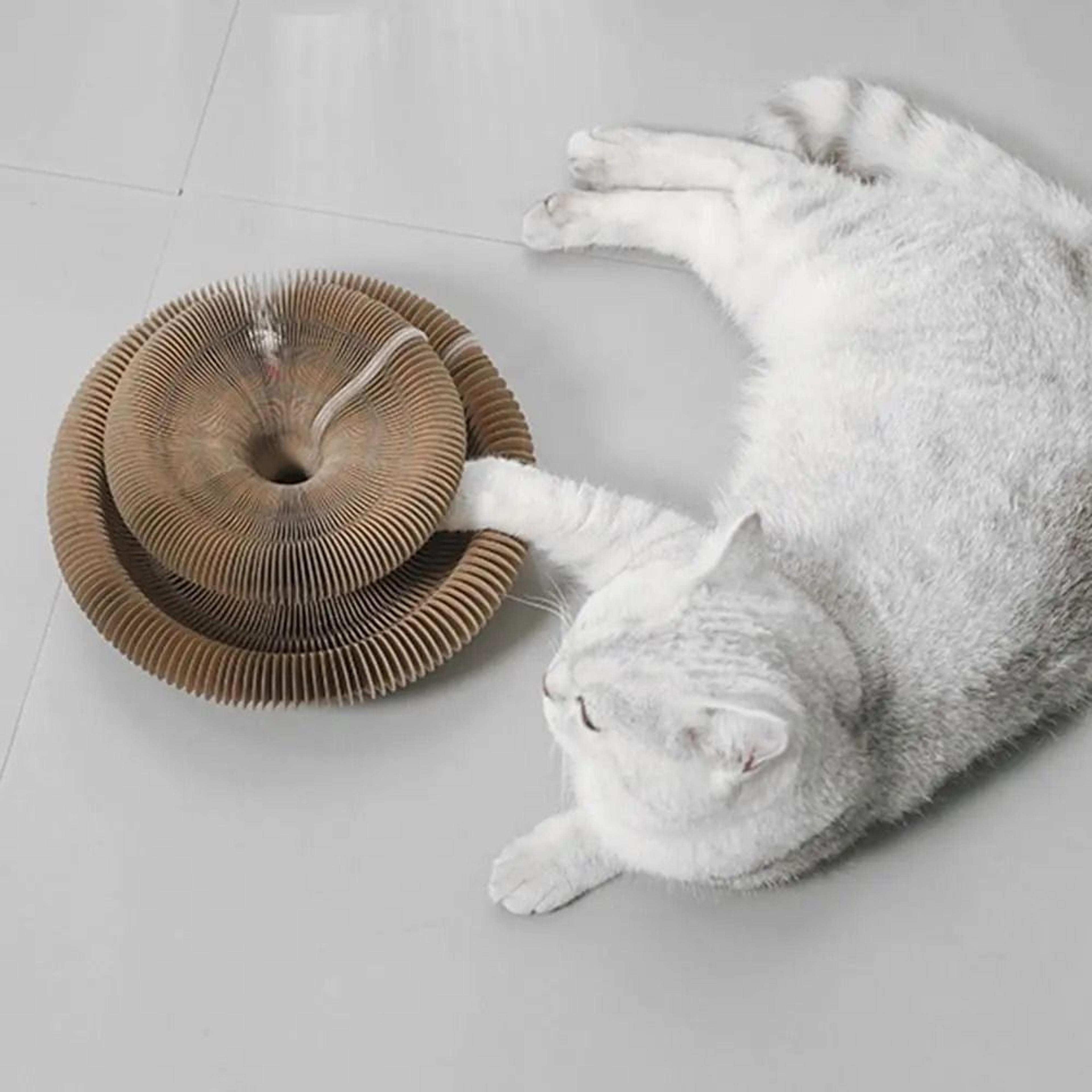AccordionLogic Transformable Feline Gym 2