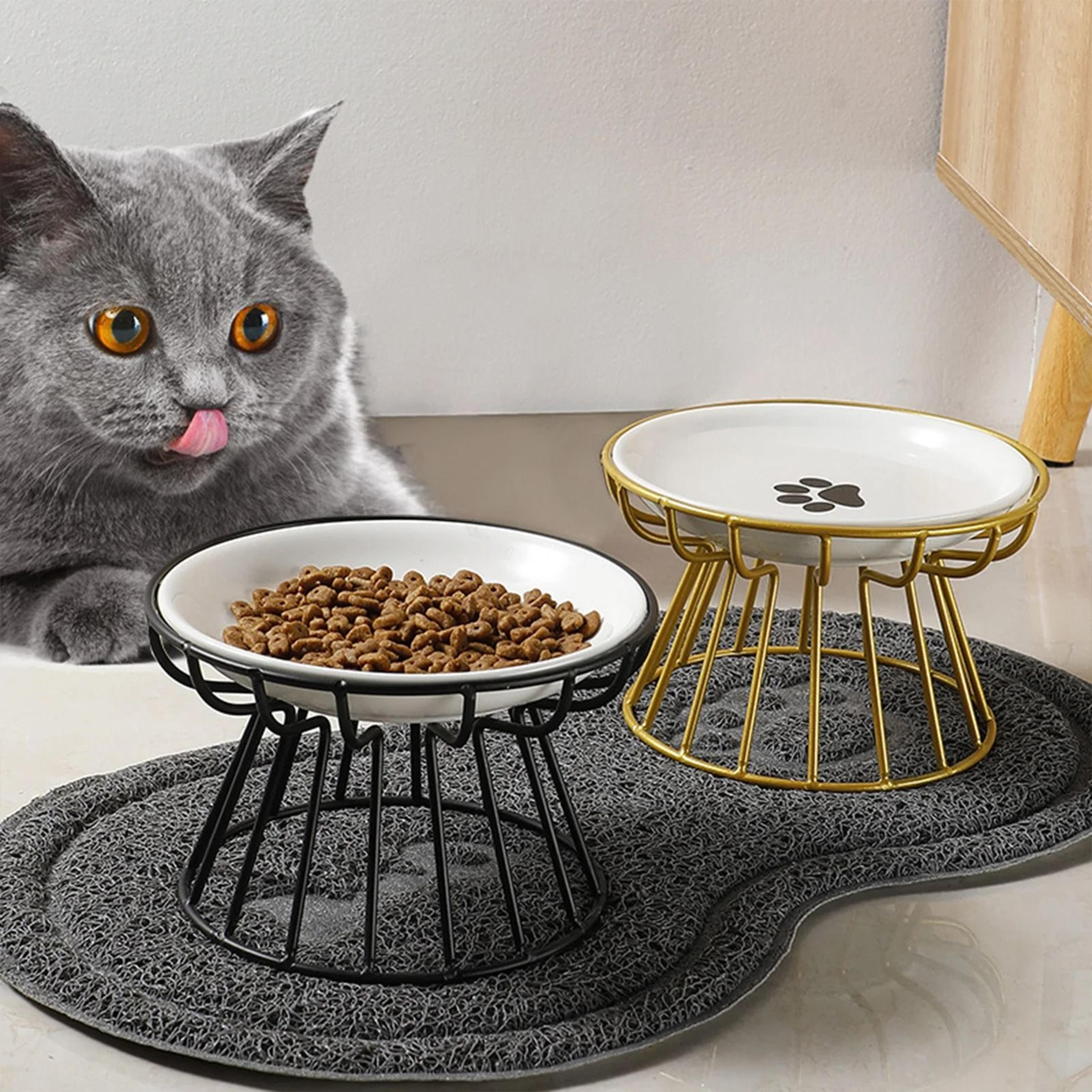 whisker-comfort orthopedic ceramic basin