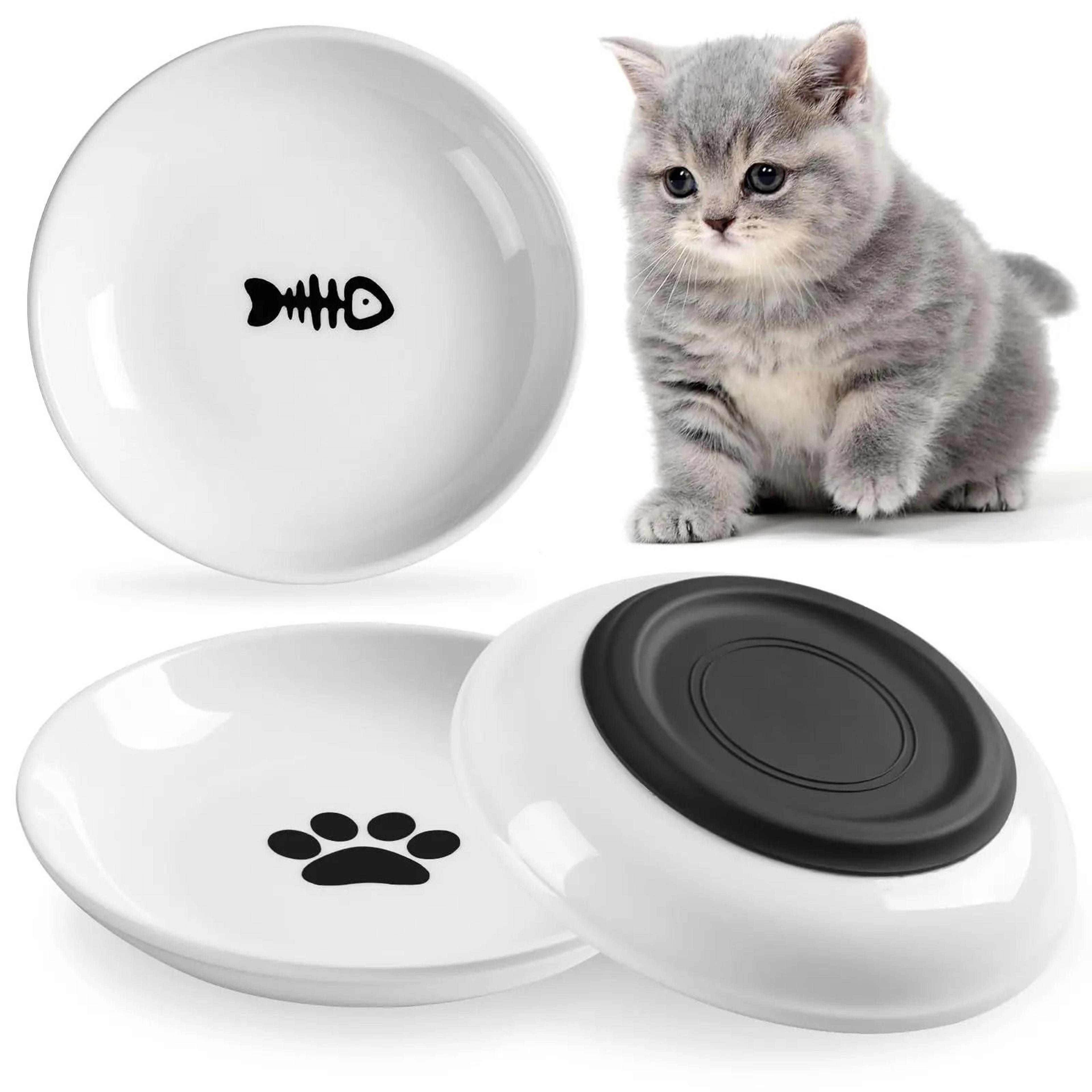whisker-safe ceramic culinary platter