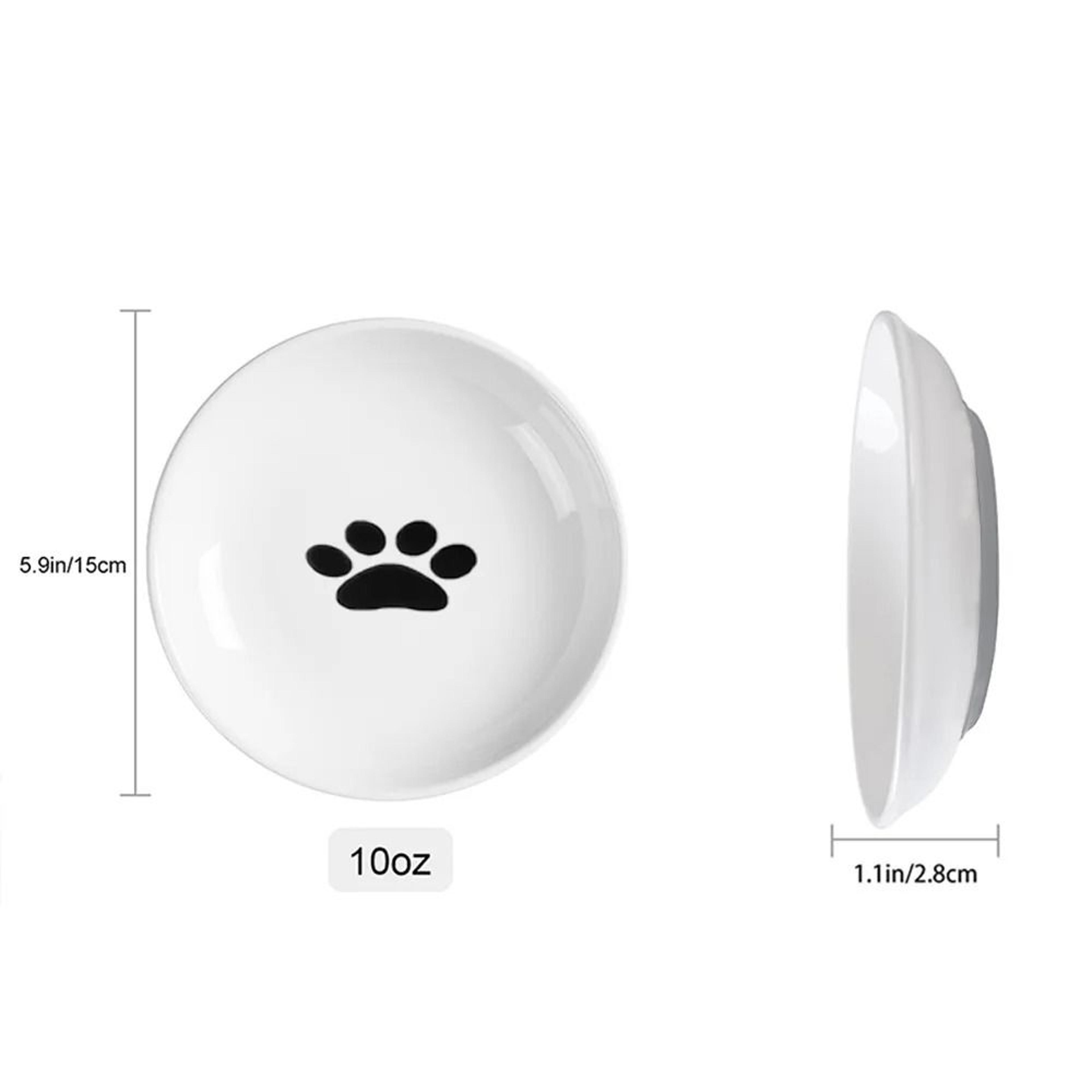 WhiskerFriendly Porcelain Snack Platter 10