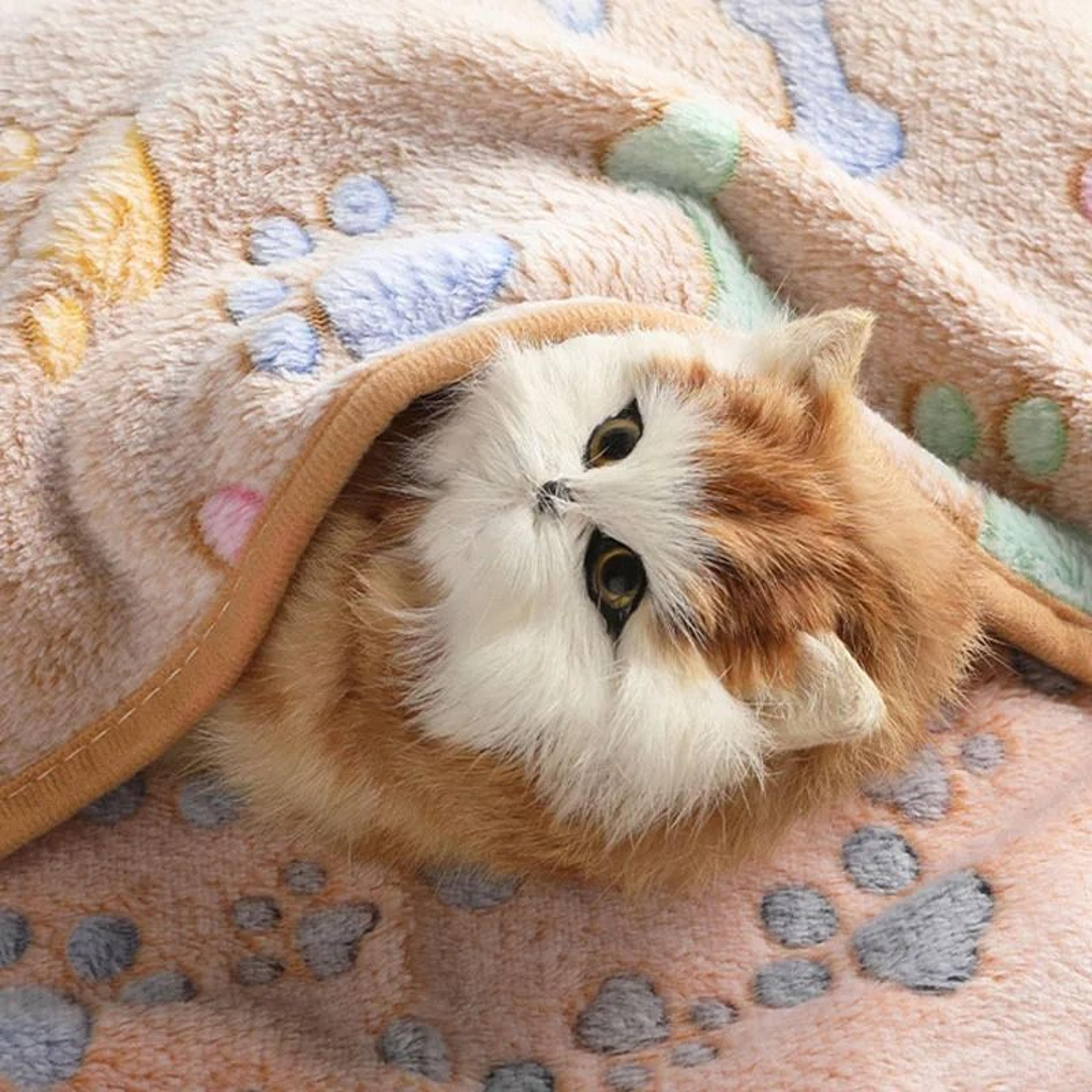 ultra-soft velvet pet comfort blanket