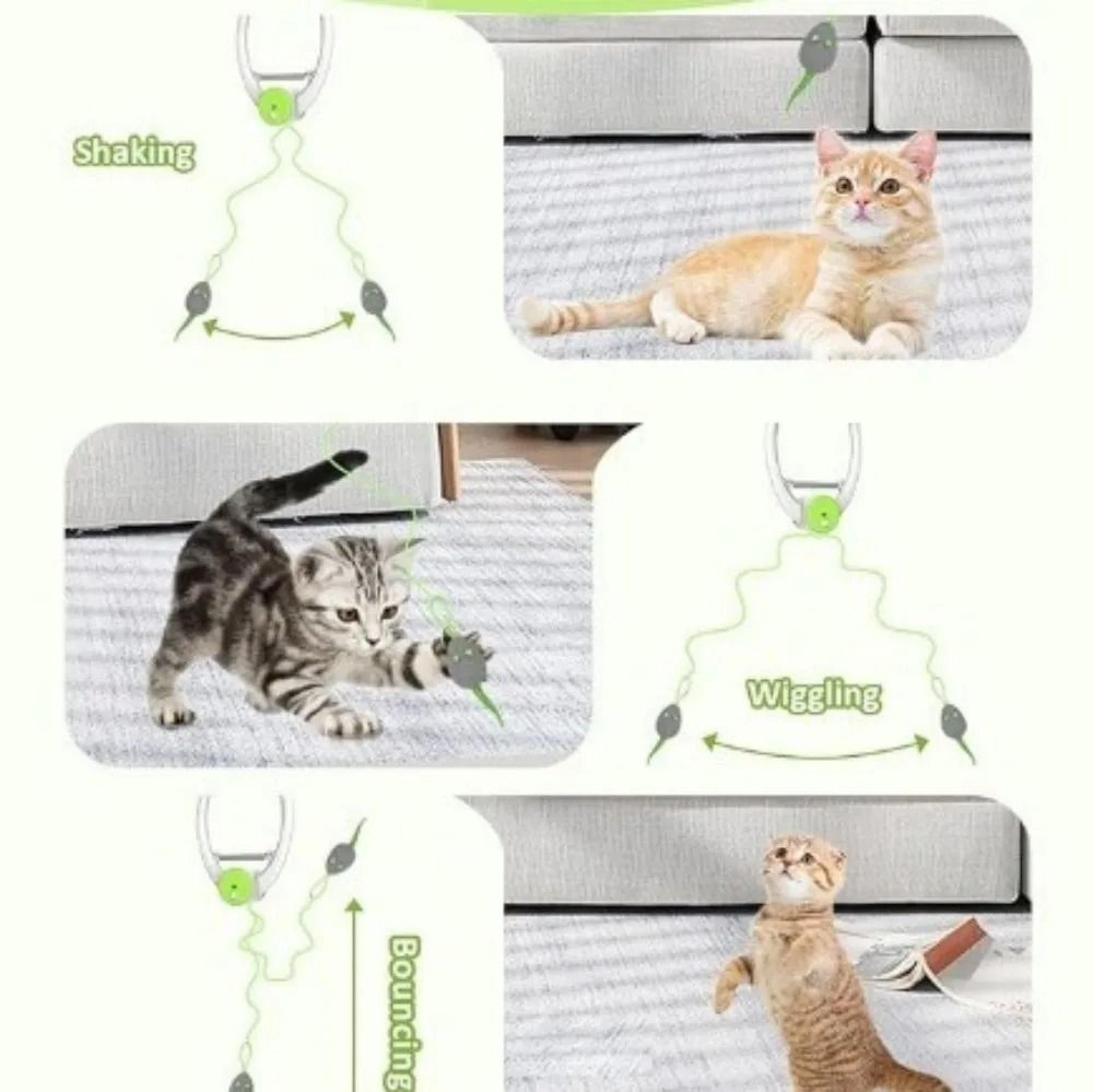 Motorized DoorHanging Rebound Mouse Trio 2