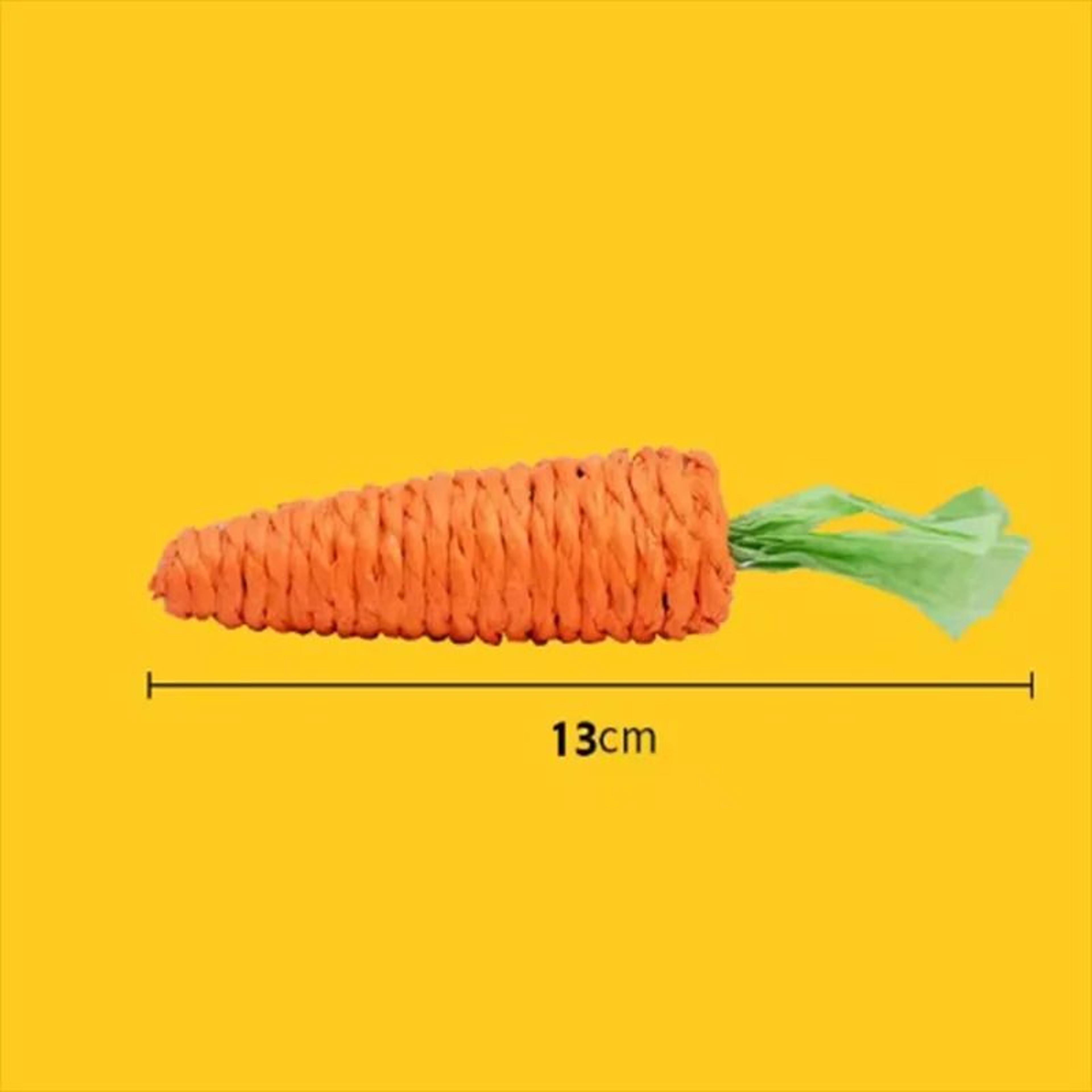 Natural Sisal Audible Carrot Teething Stick 4