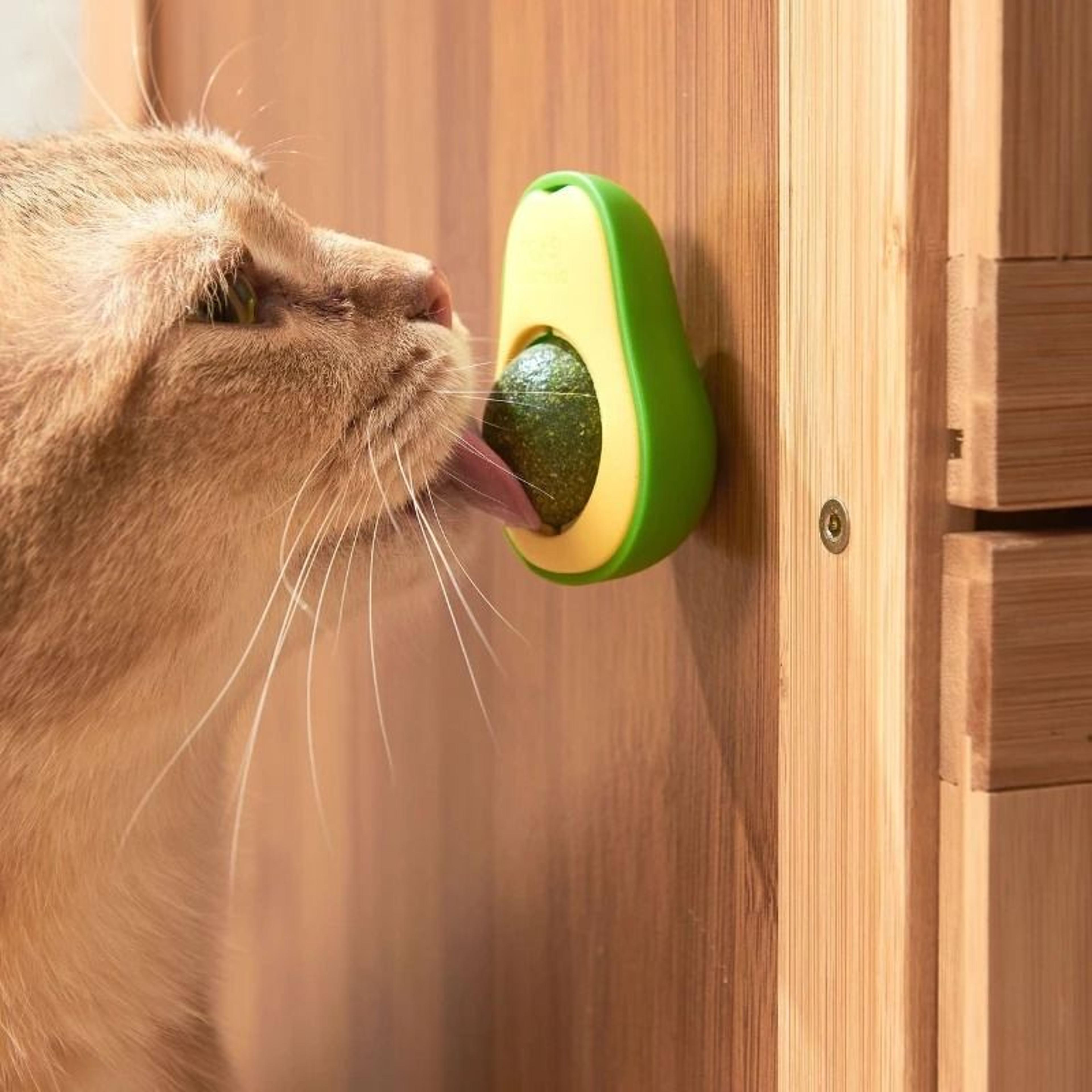 Natural Avocado Catnip WallMount Ball 1