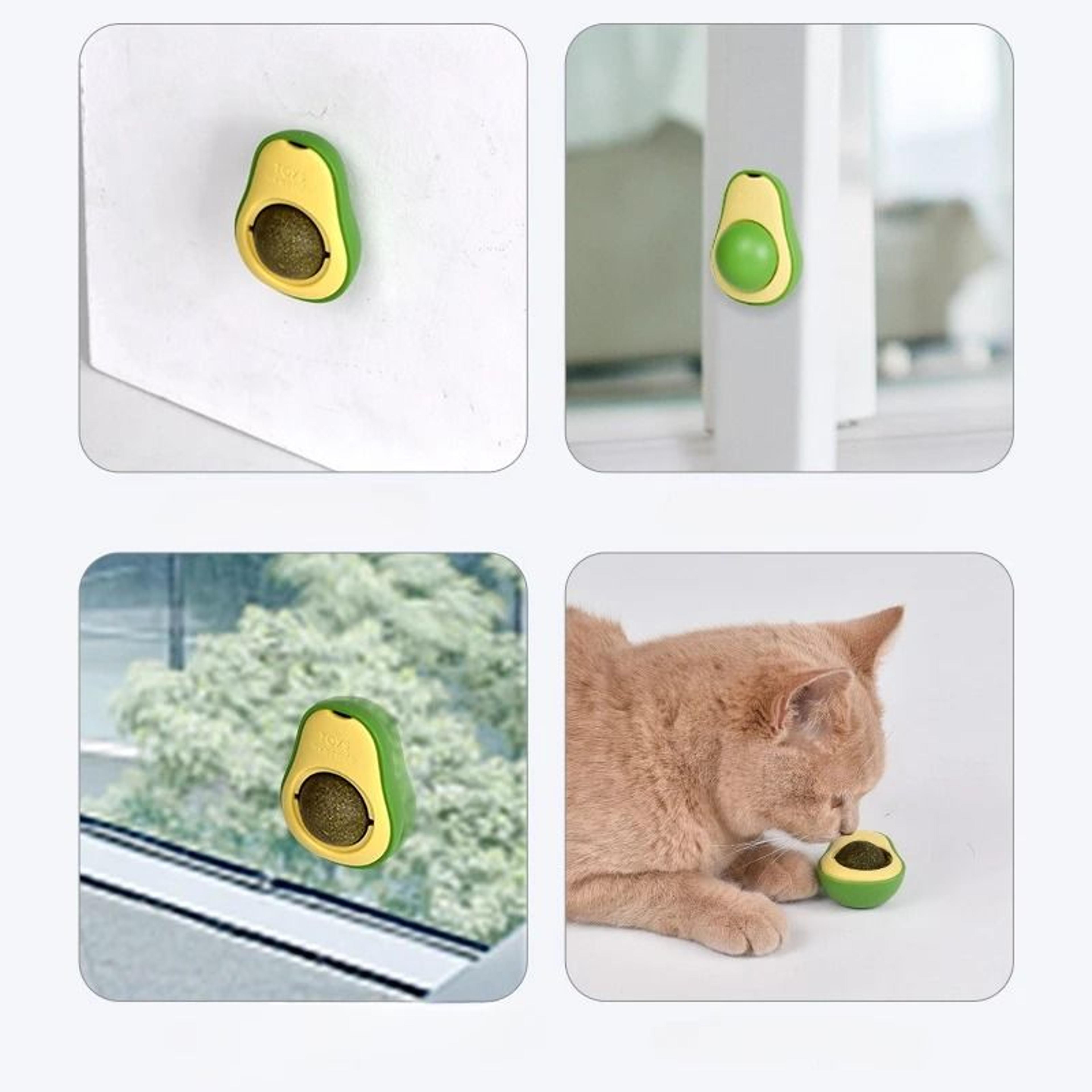 Natural Avocado Catnip WallMount Ball 3