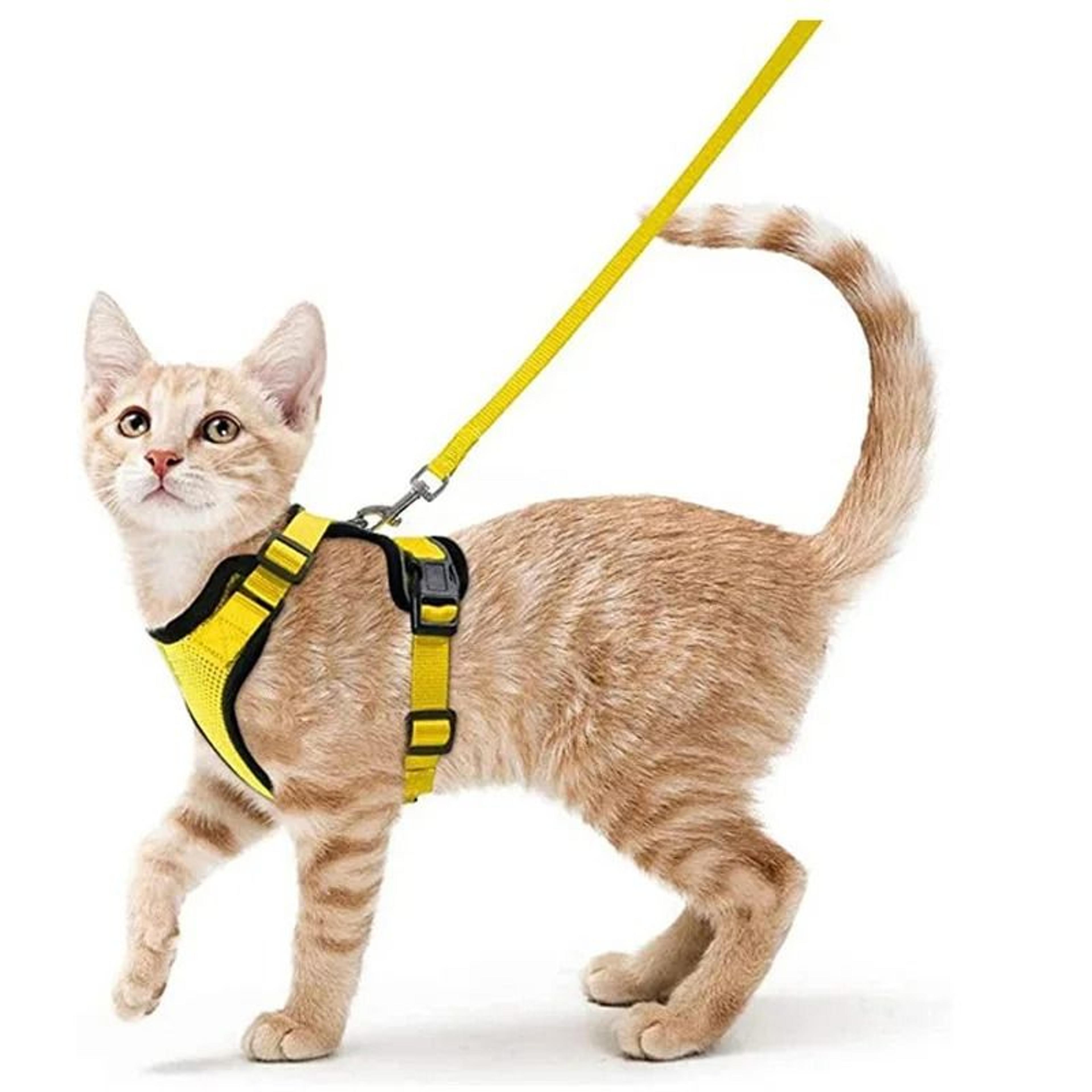 EscapeProof SafeWalk Cat Harness  Leash Set 7