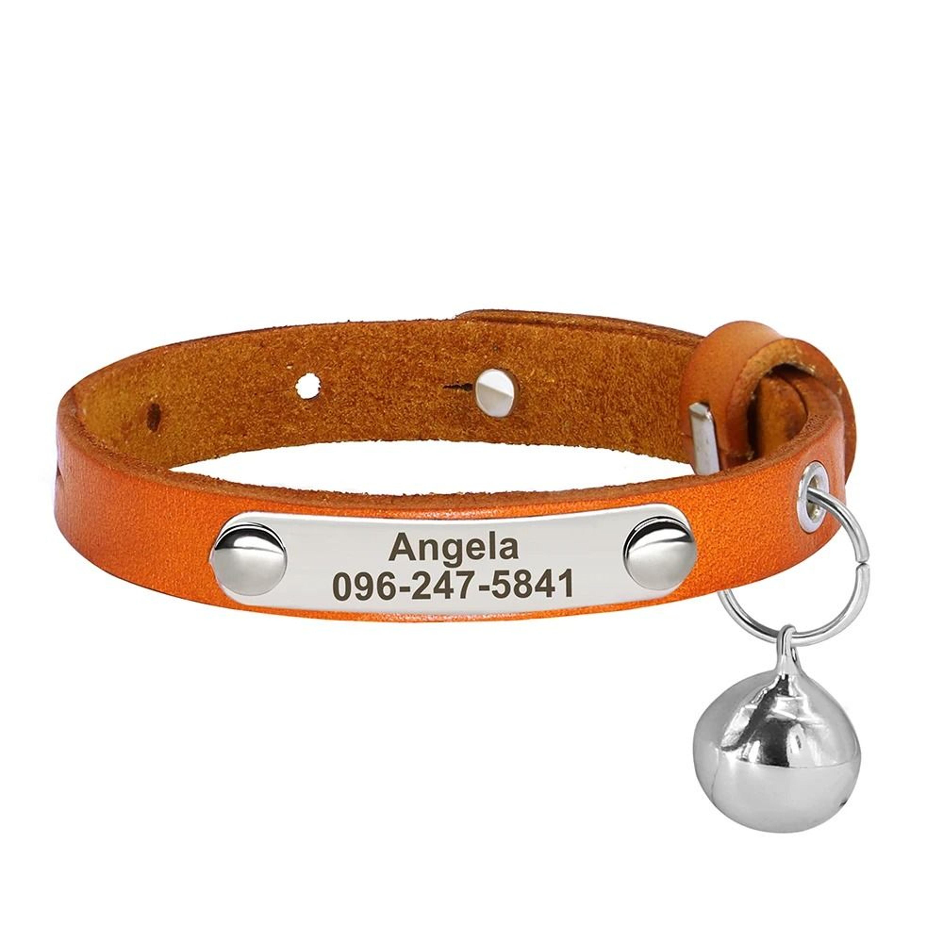SignatureSeries Personalized Identity Collar 13