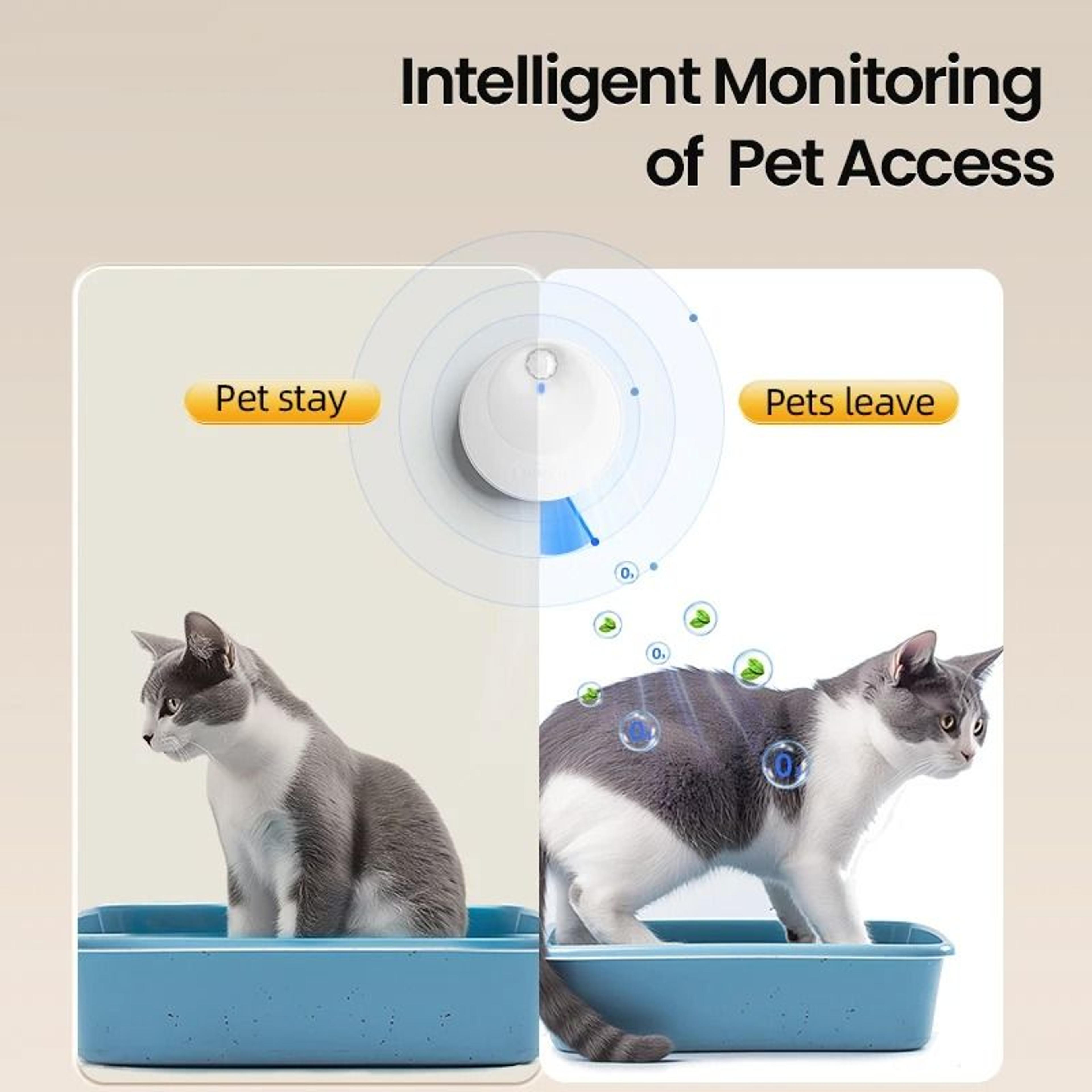 ROJECO SmartIonic Cat Odor Purifier 5