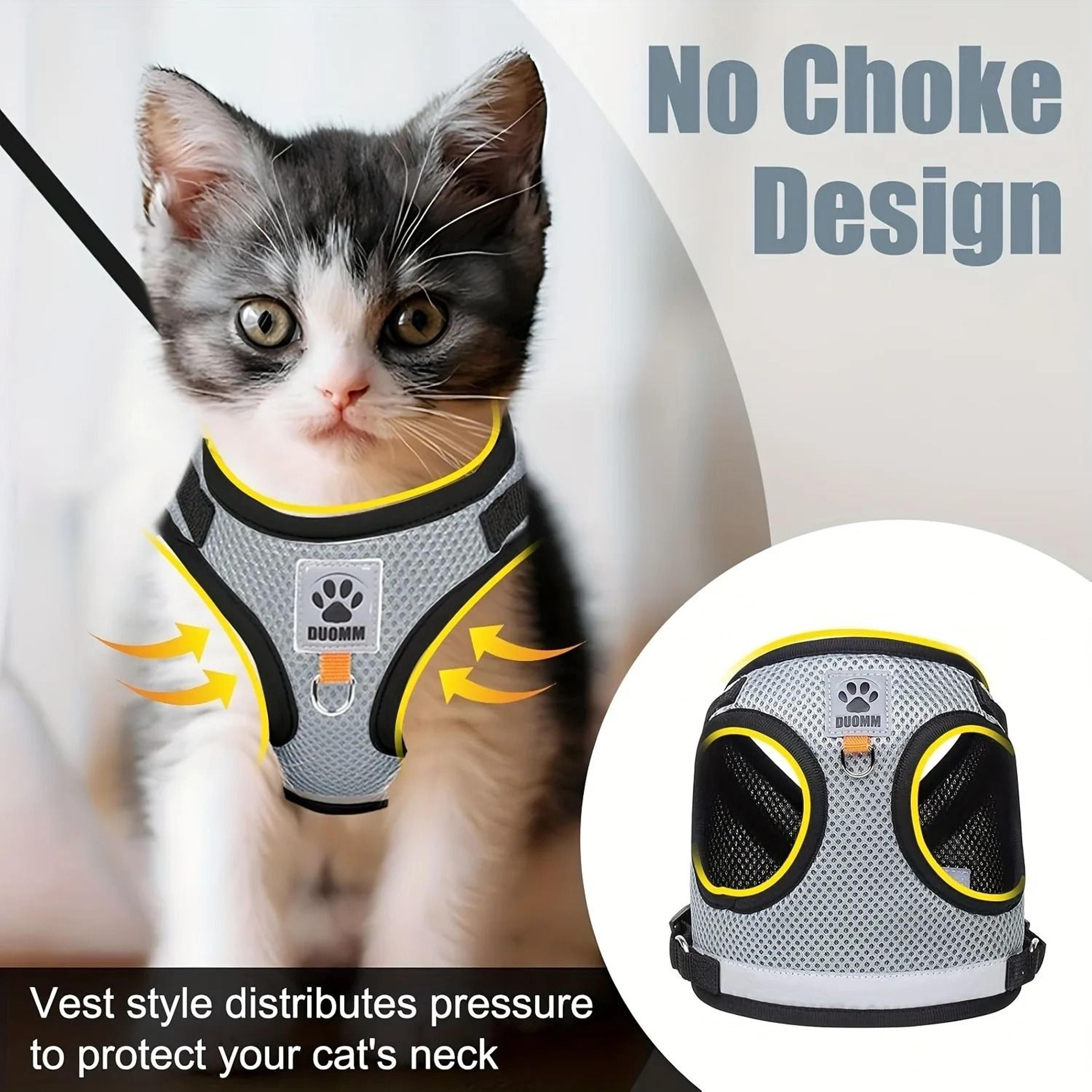 AeroFit Precision Walking Harness  Tether 4