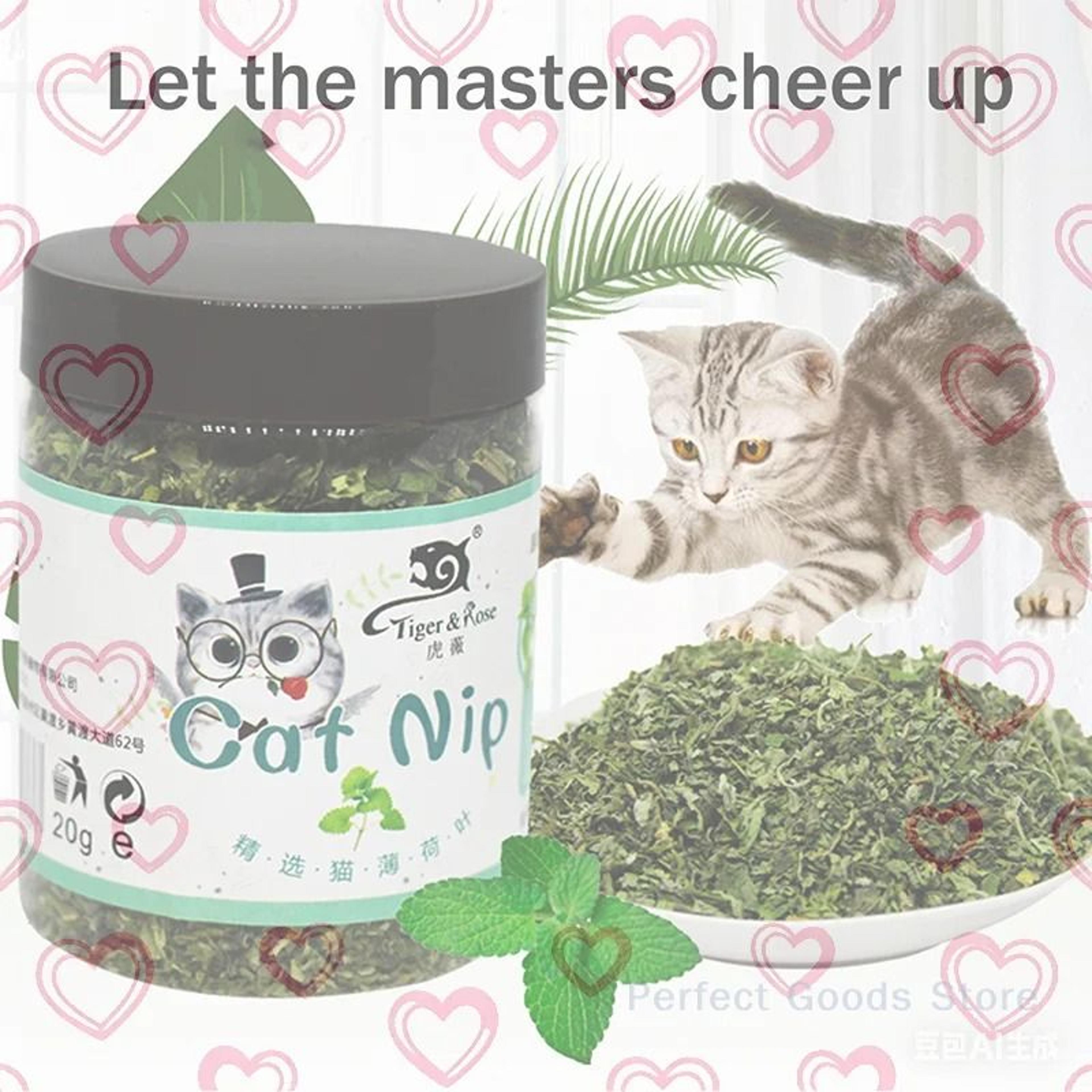 pure essence organic catnip leaf