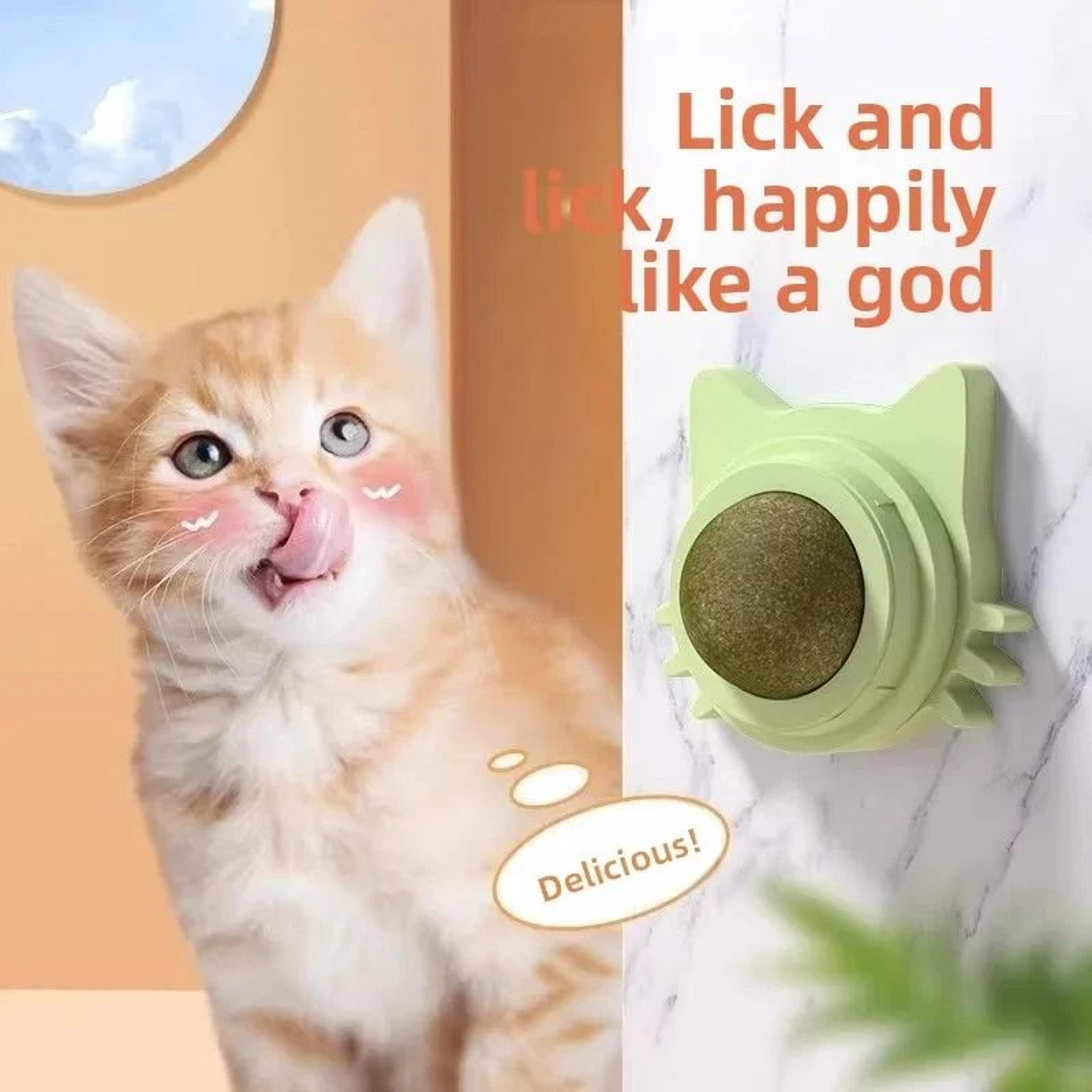 Rotatable WallMount Catnip Treat 1